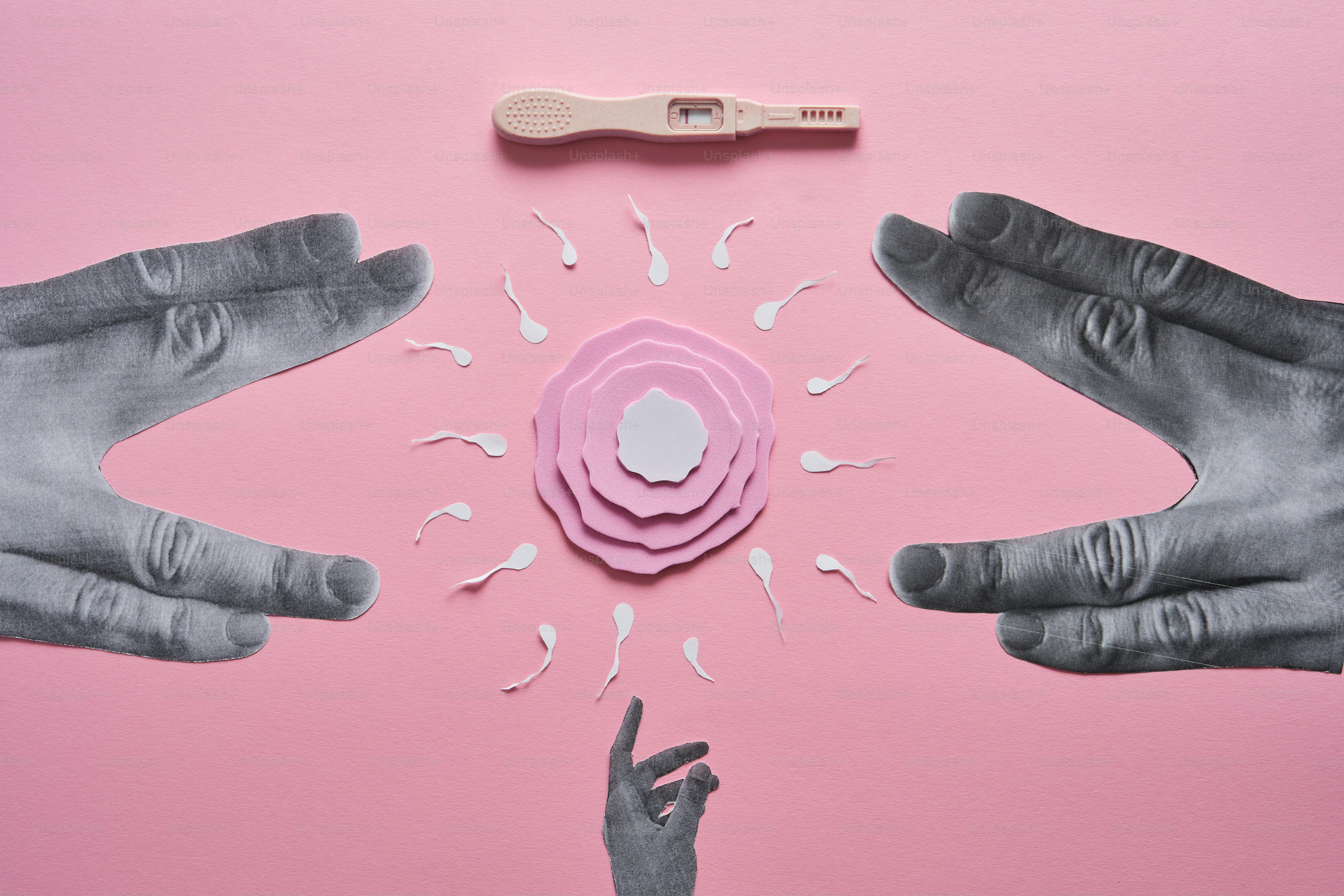Ovule, spermatozoïde, test de grossesse et mains sur fond rose.