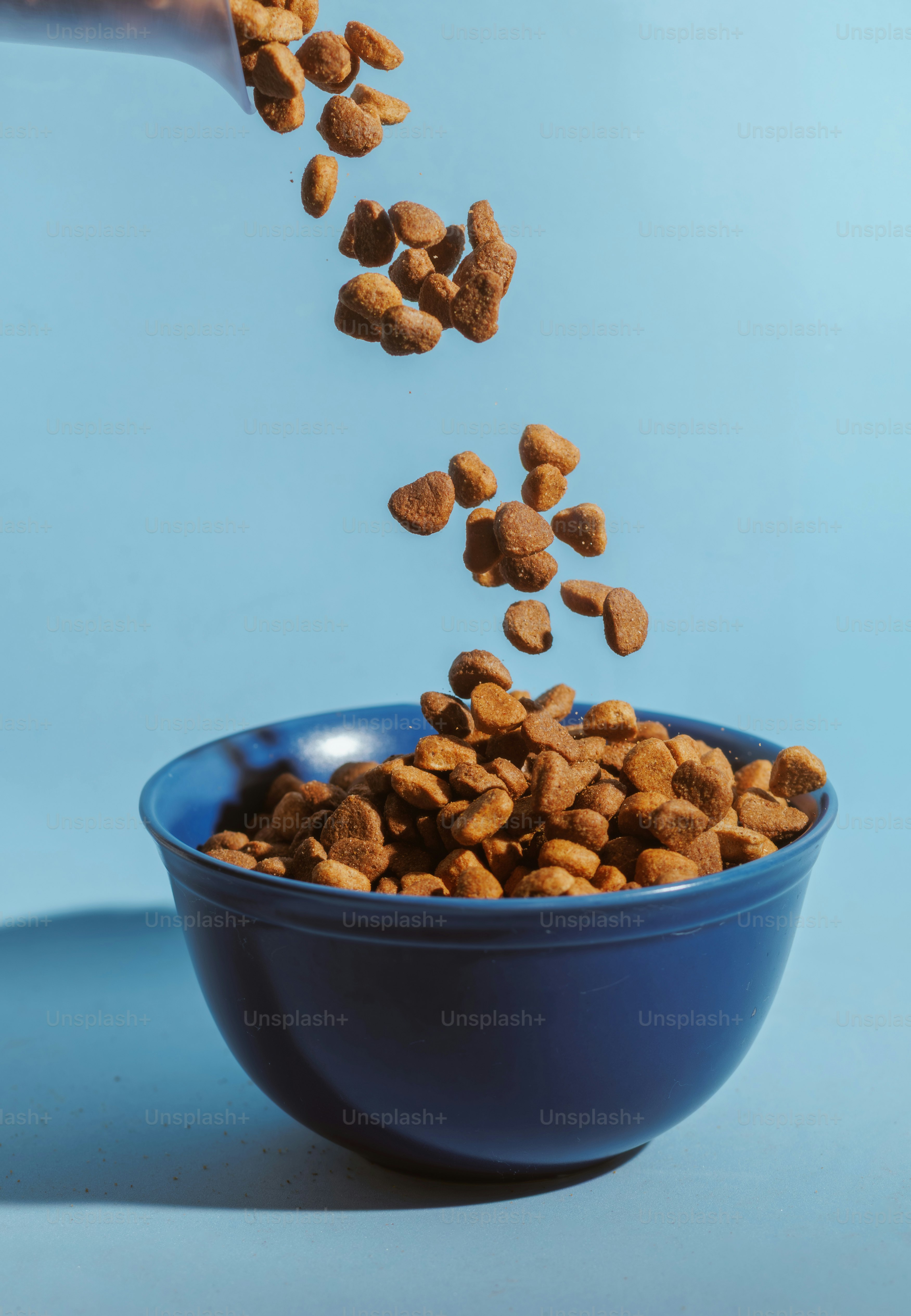 Des croquettes brunes versées dans un bol bleu.