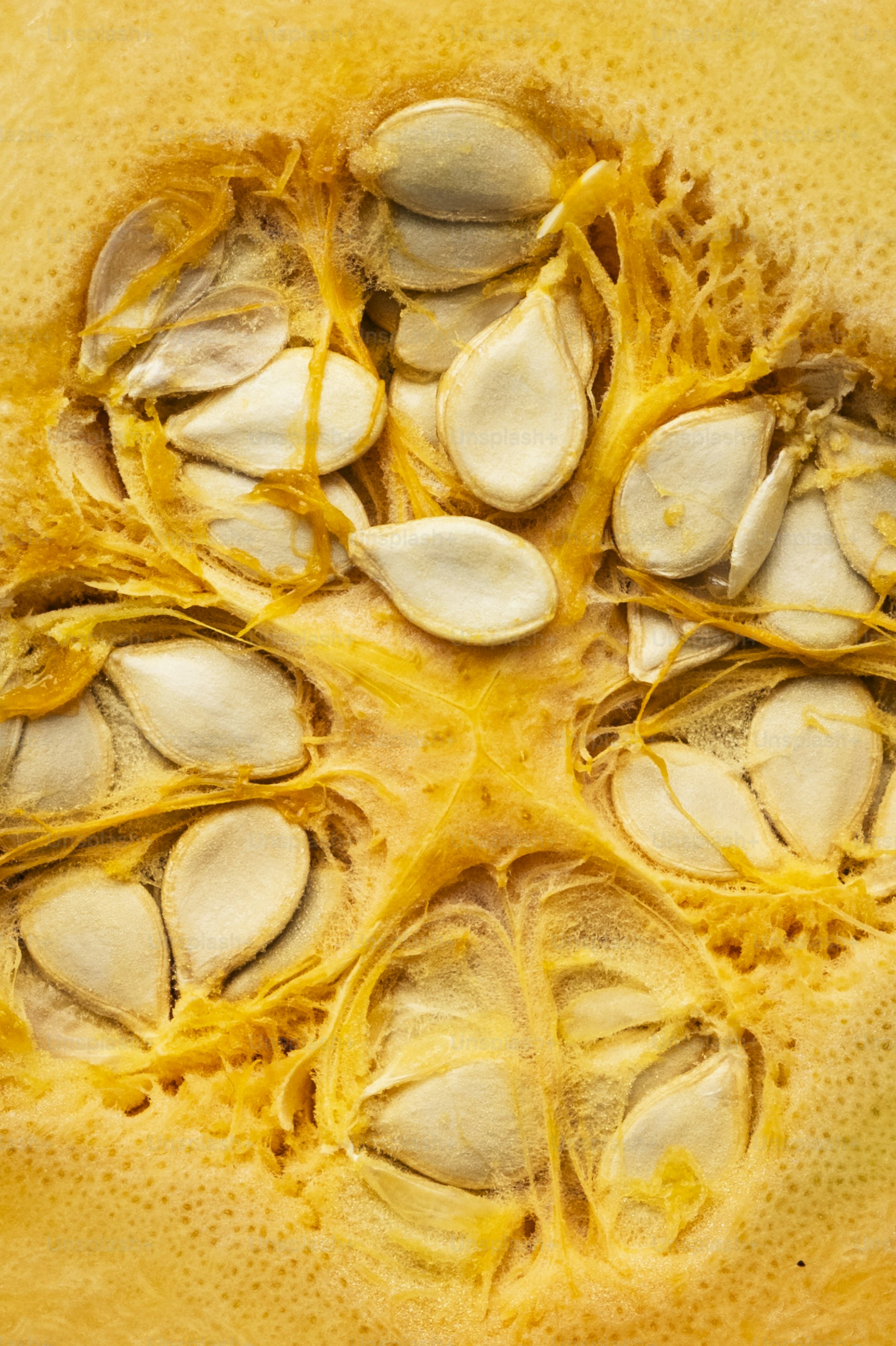 Pumpkin interior showing white seeds and orange stringy pulp.