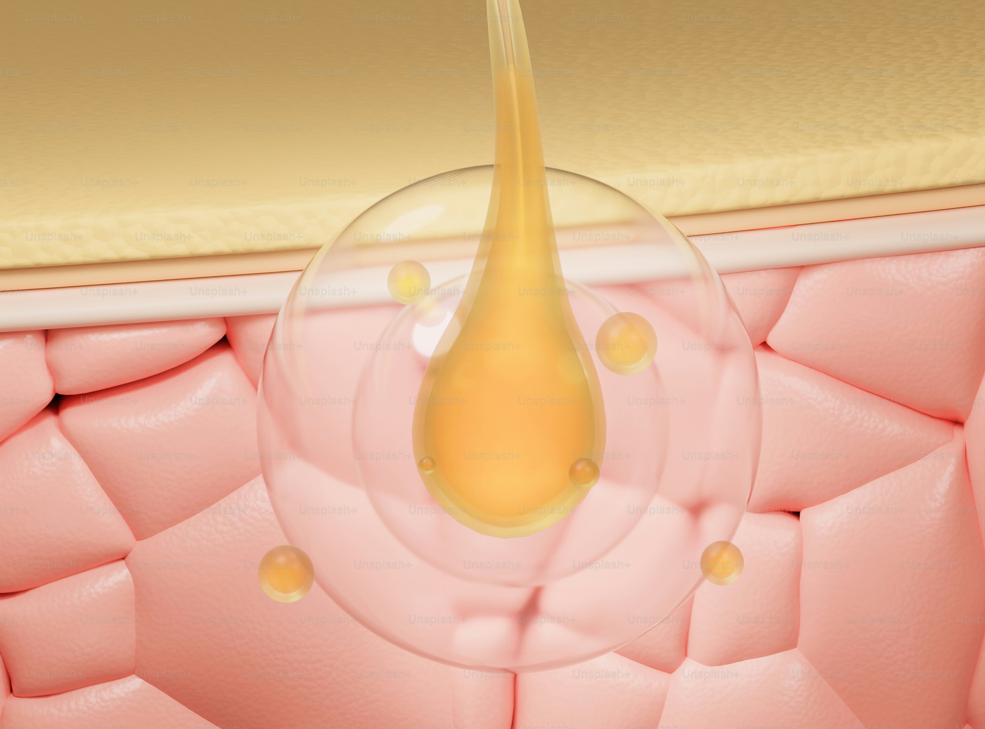 Goccia siero dorata che nutre un follicolo pilifero all'interno della pelle.