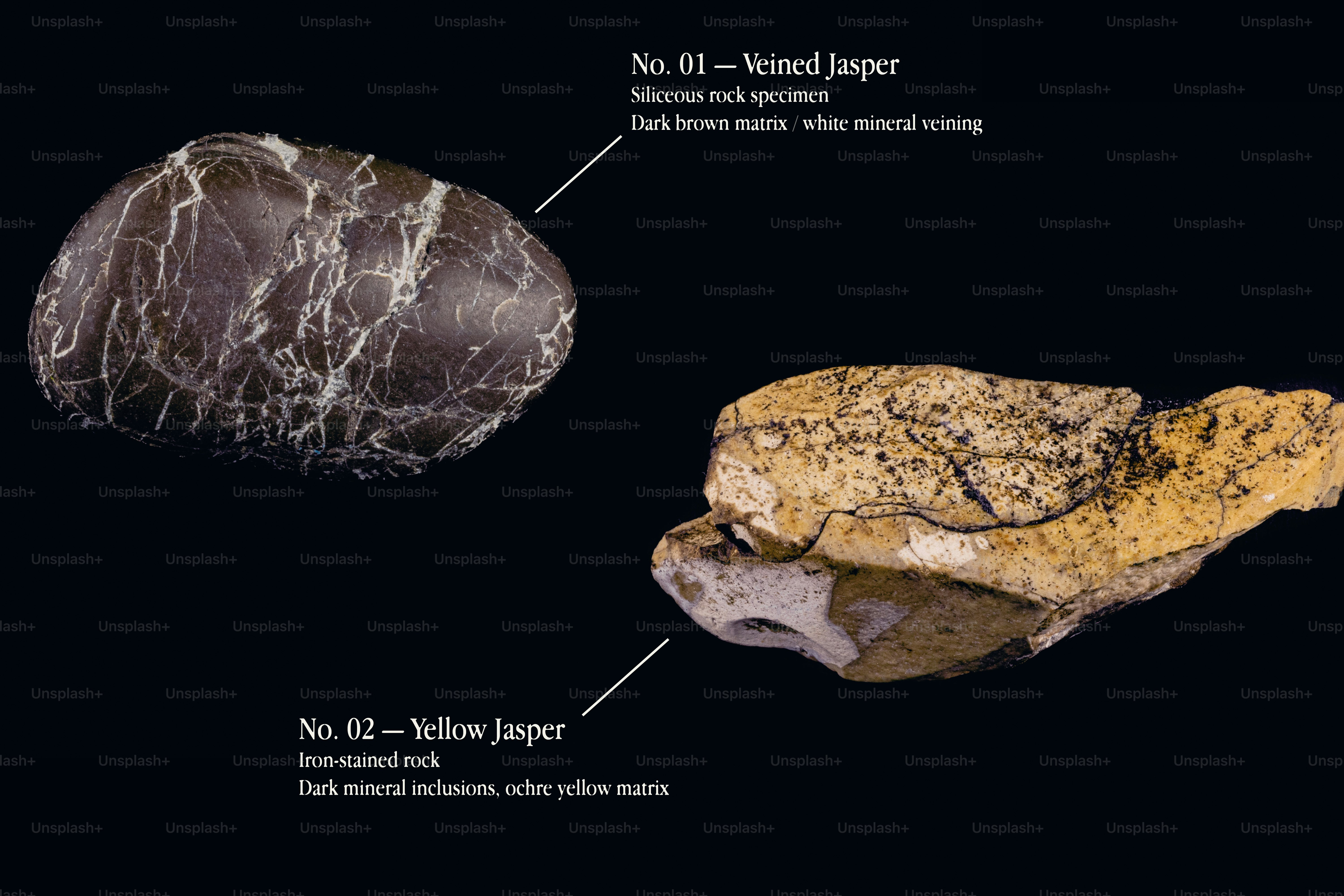 Veined and yellow jasper rock specimens on a black background.