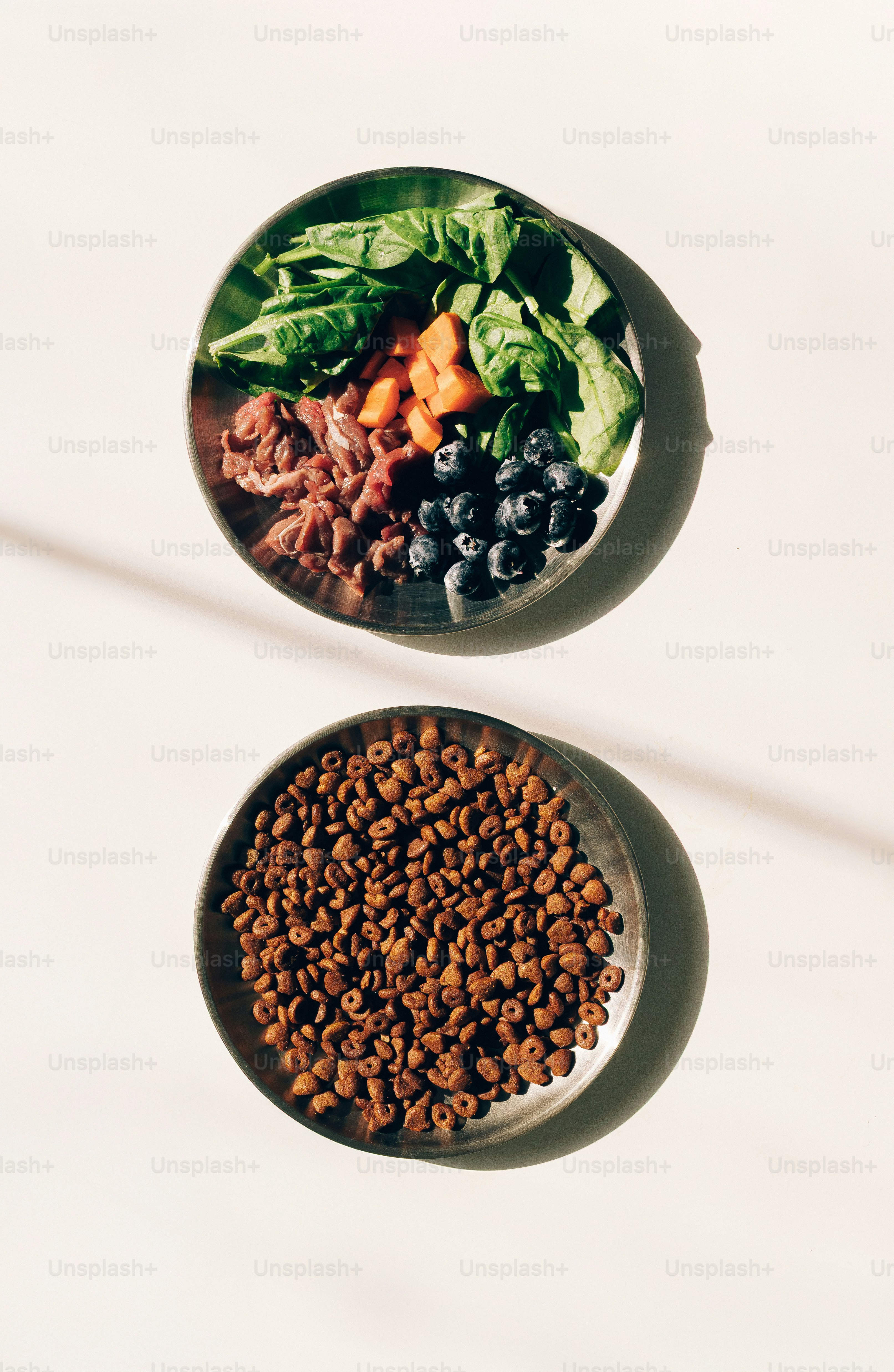 Ingredienti freschi per il cibo per animali e crocchette secche in due ciotole.