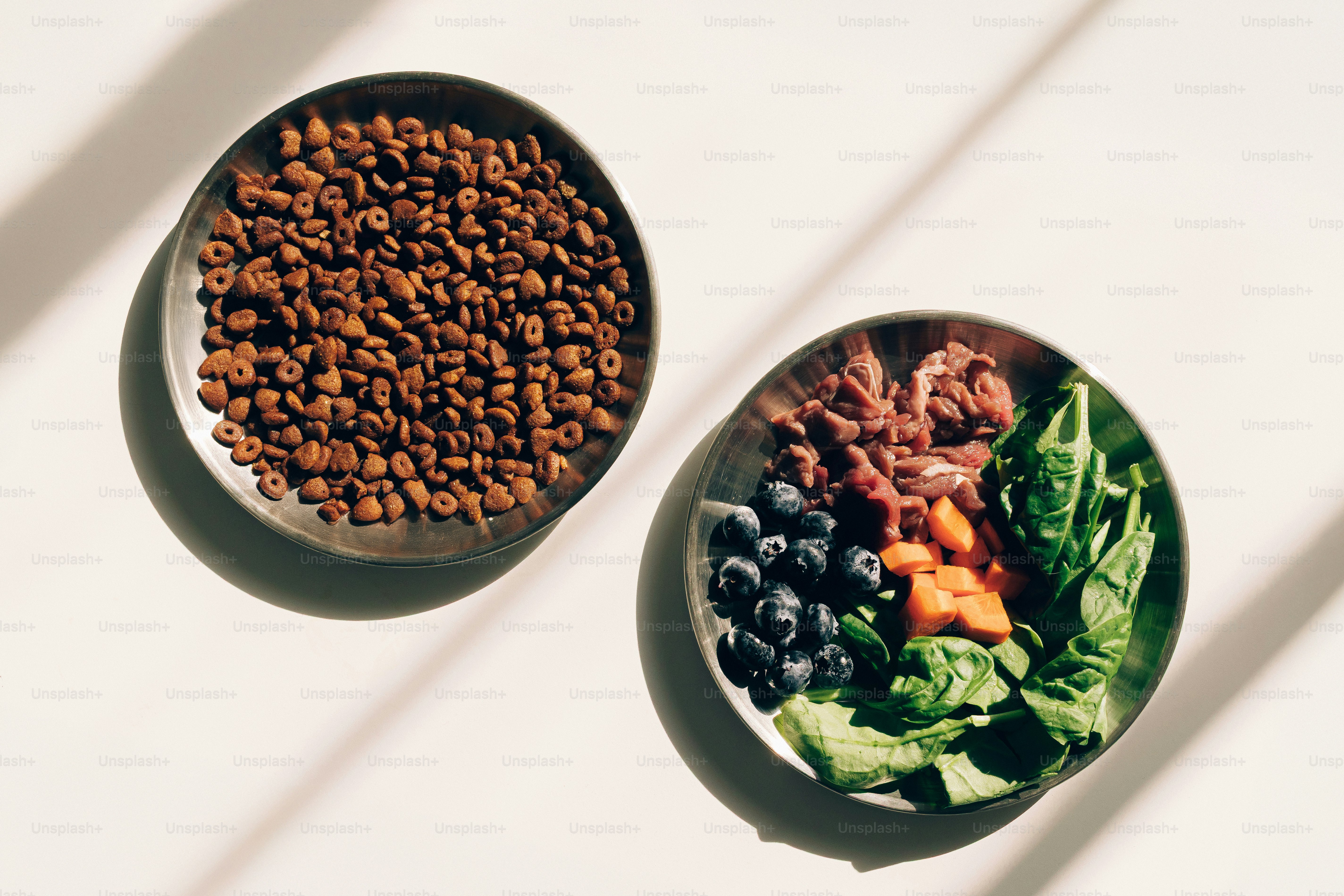 Ciotole per cibo per animali con crocchette e ingredienti freschi.