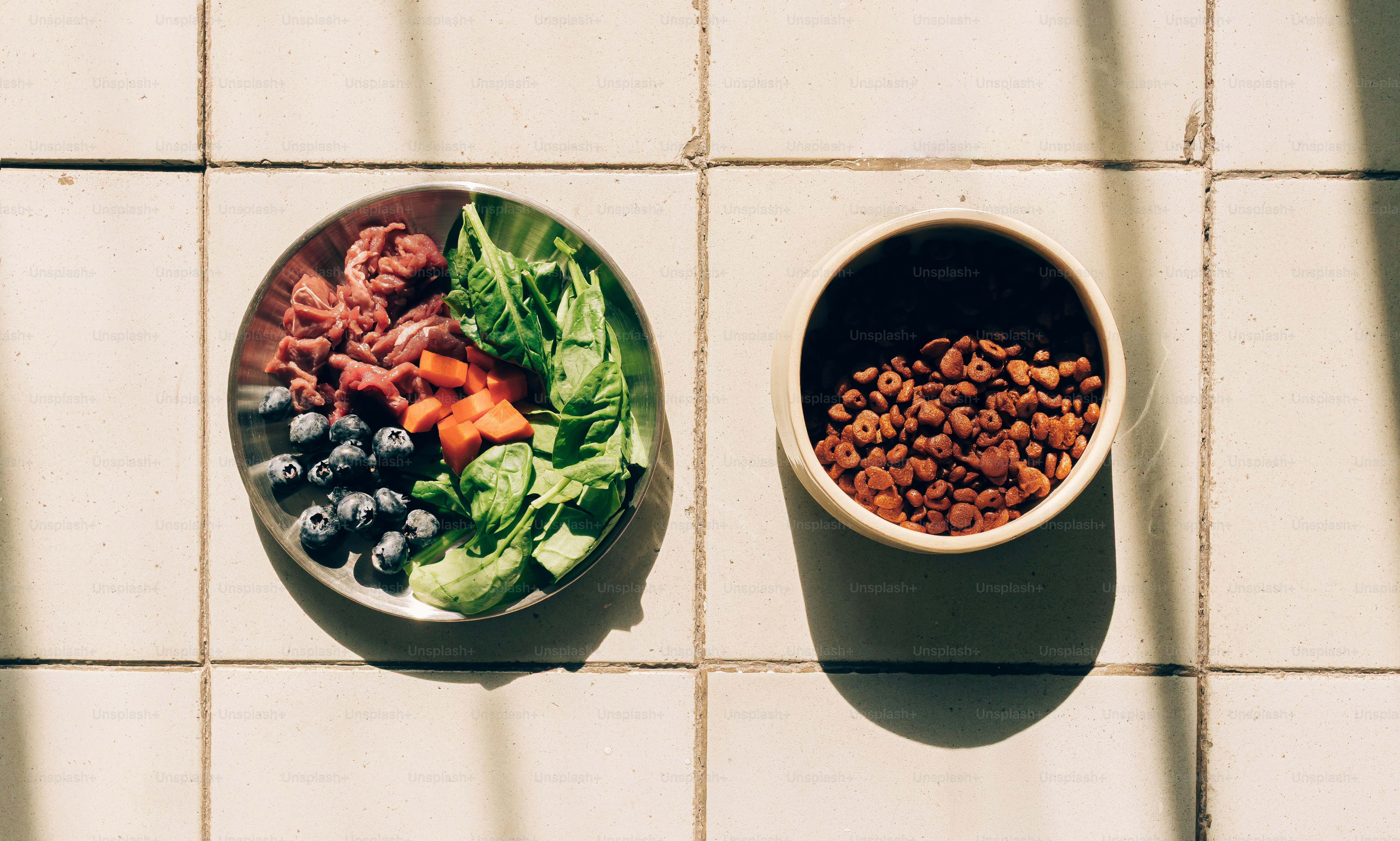 Ingredienti freschi e croccantine secche nelle ciotole del cibo per animali.