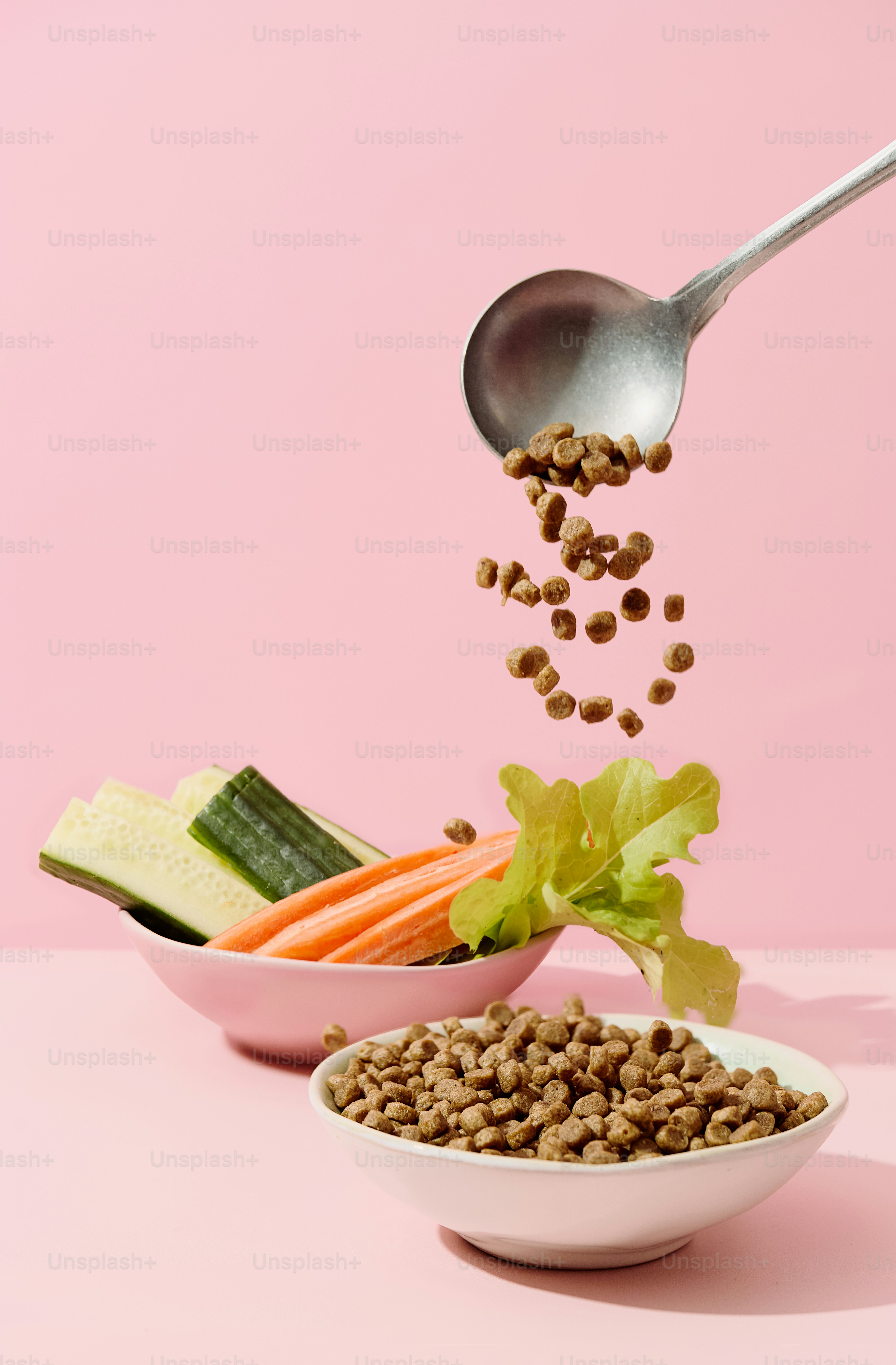 Sendok tuangkan kibble ke dalam mangkuk dengan sayuran segar.