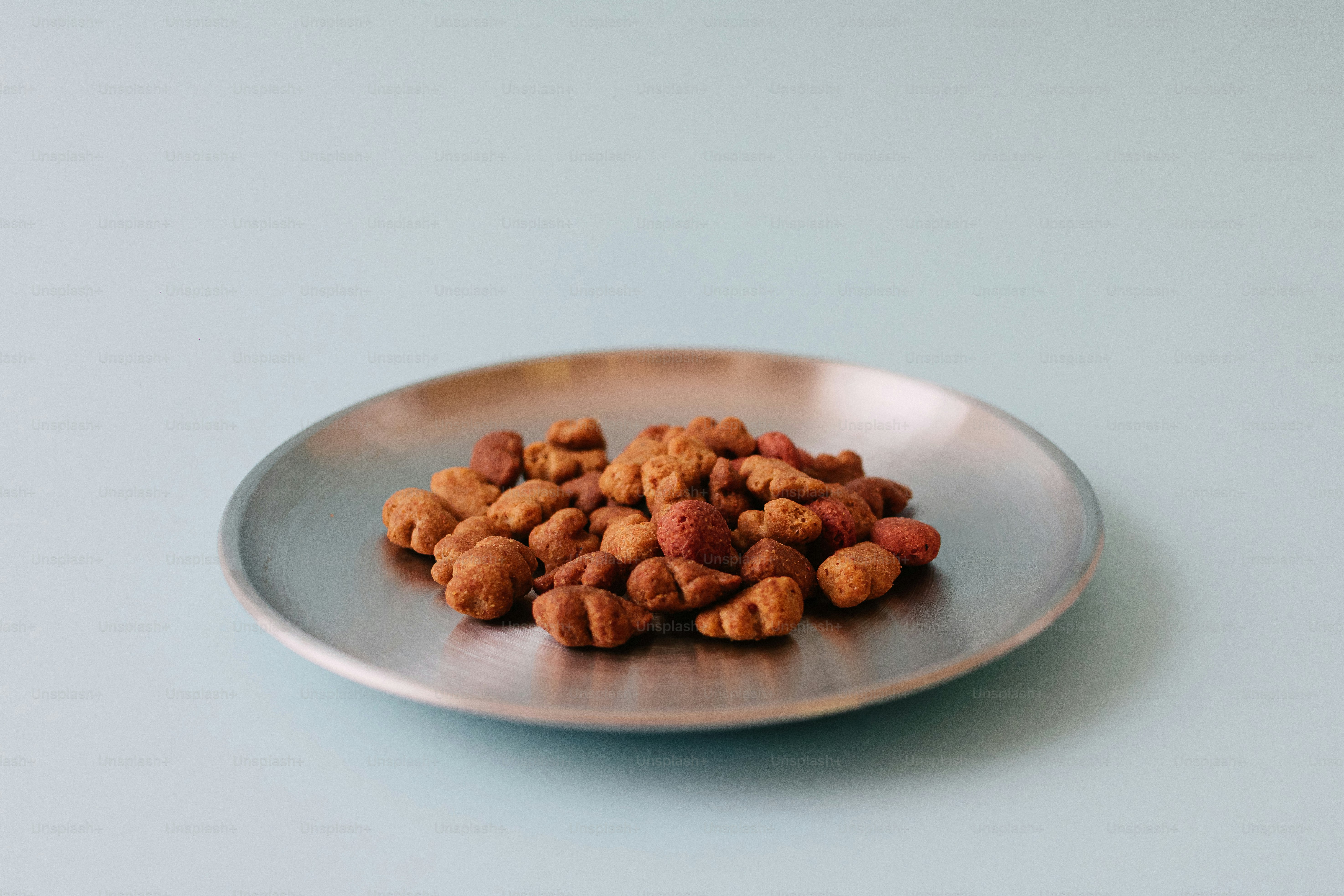 Kibble makanan hewan peliharaan kering di piring perak.