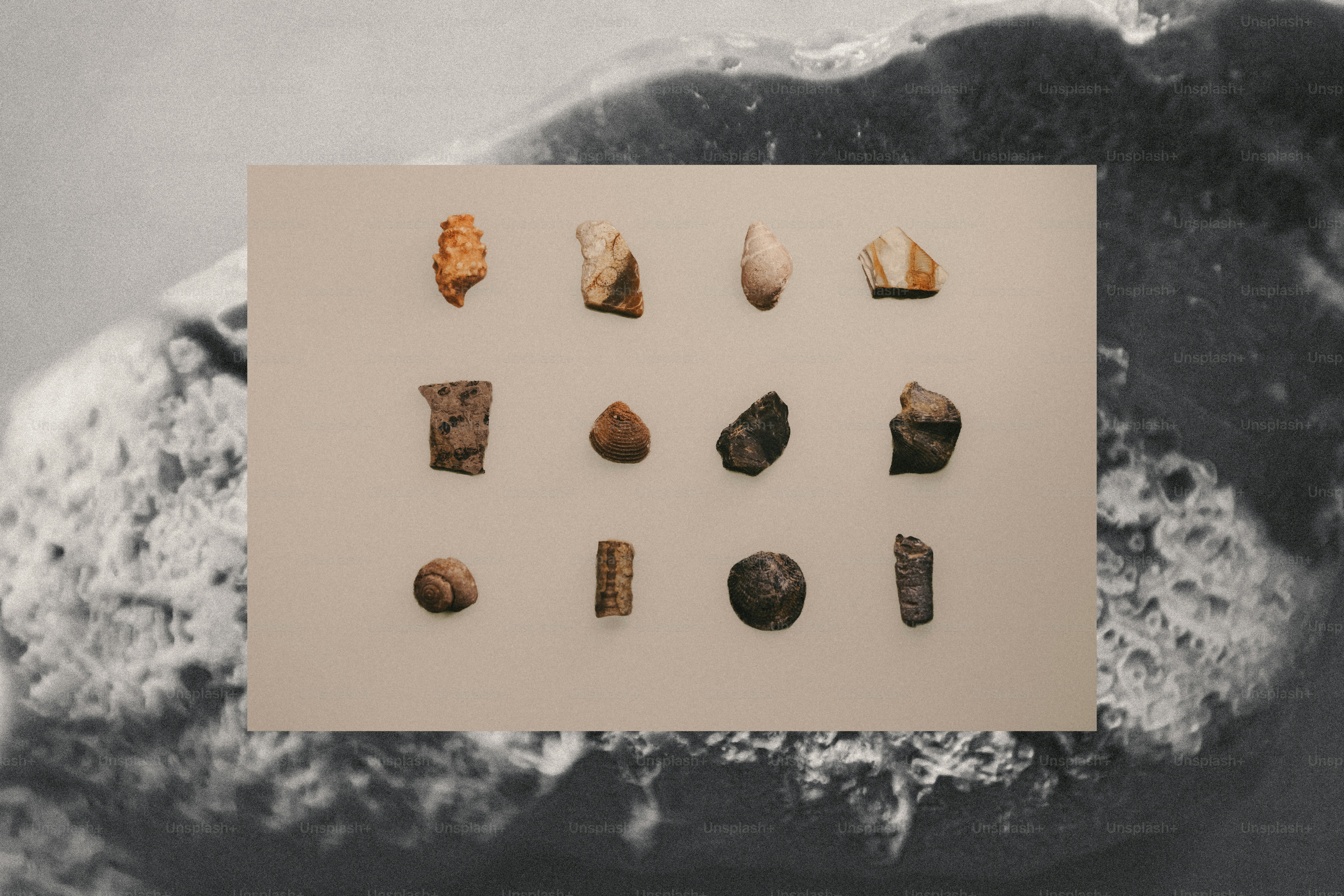 Various ancient artifacts arranged on a light rectangular background