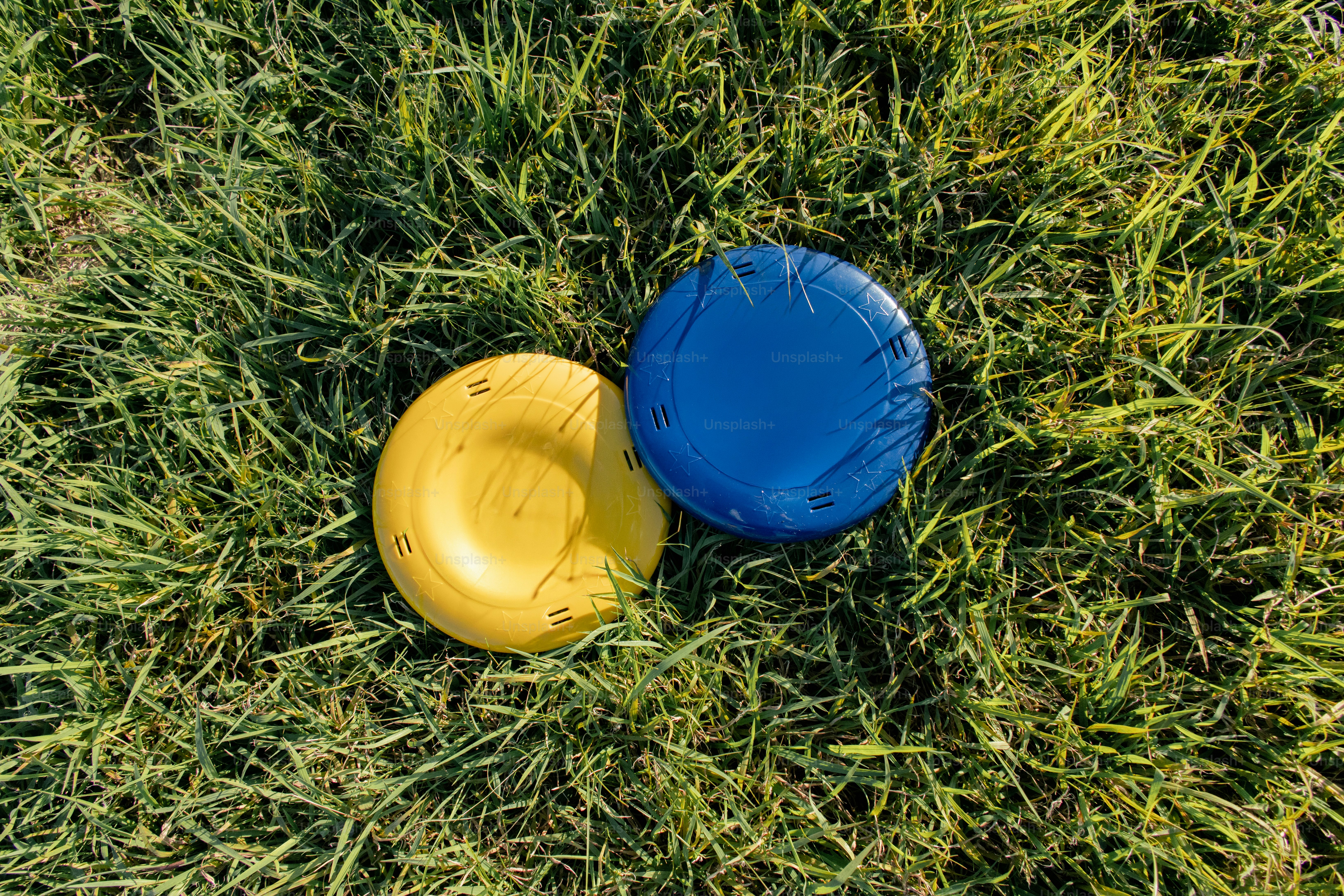 Yellow and blue frisbees on green grass
