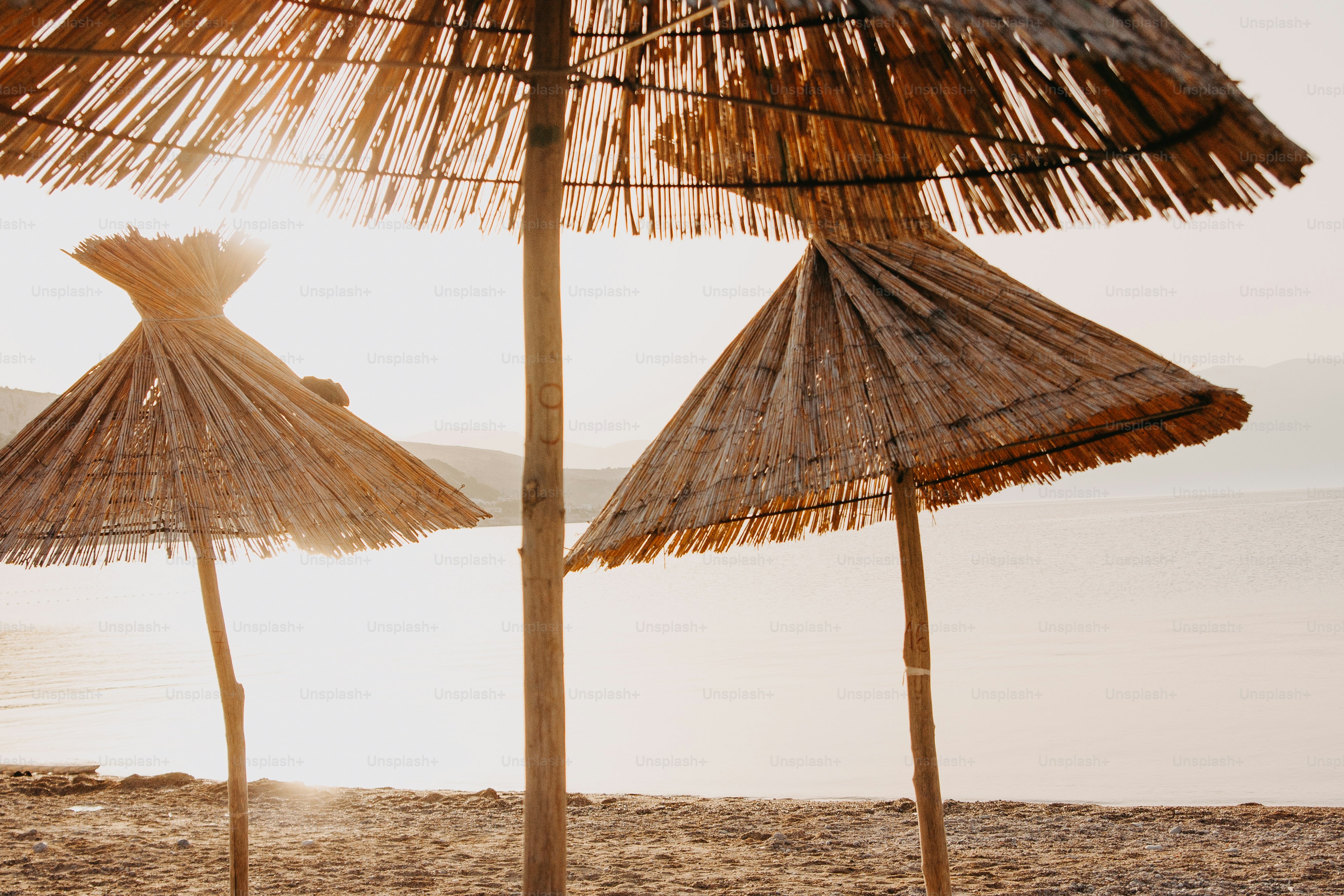 Beach umbrellas on sandy shore at sunset