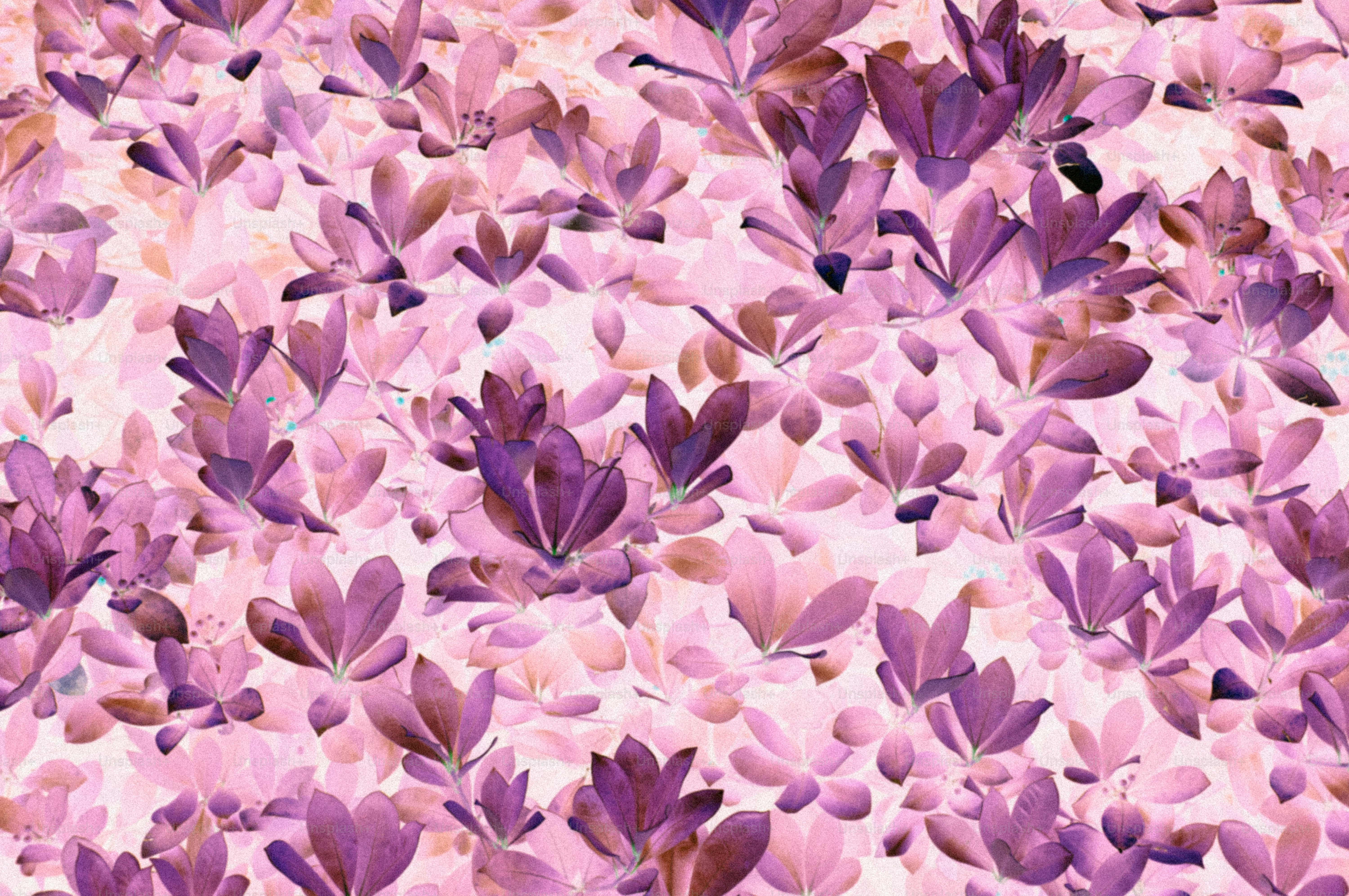 Stylized purple and pink leaves creating a vibrant pattern