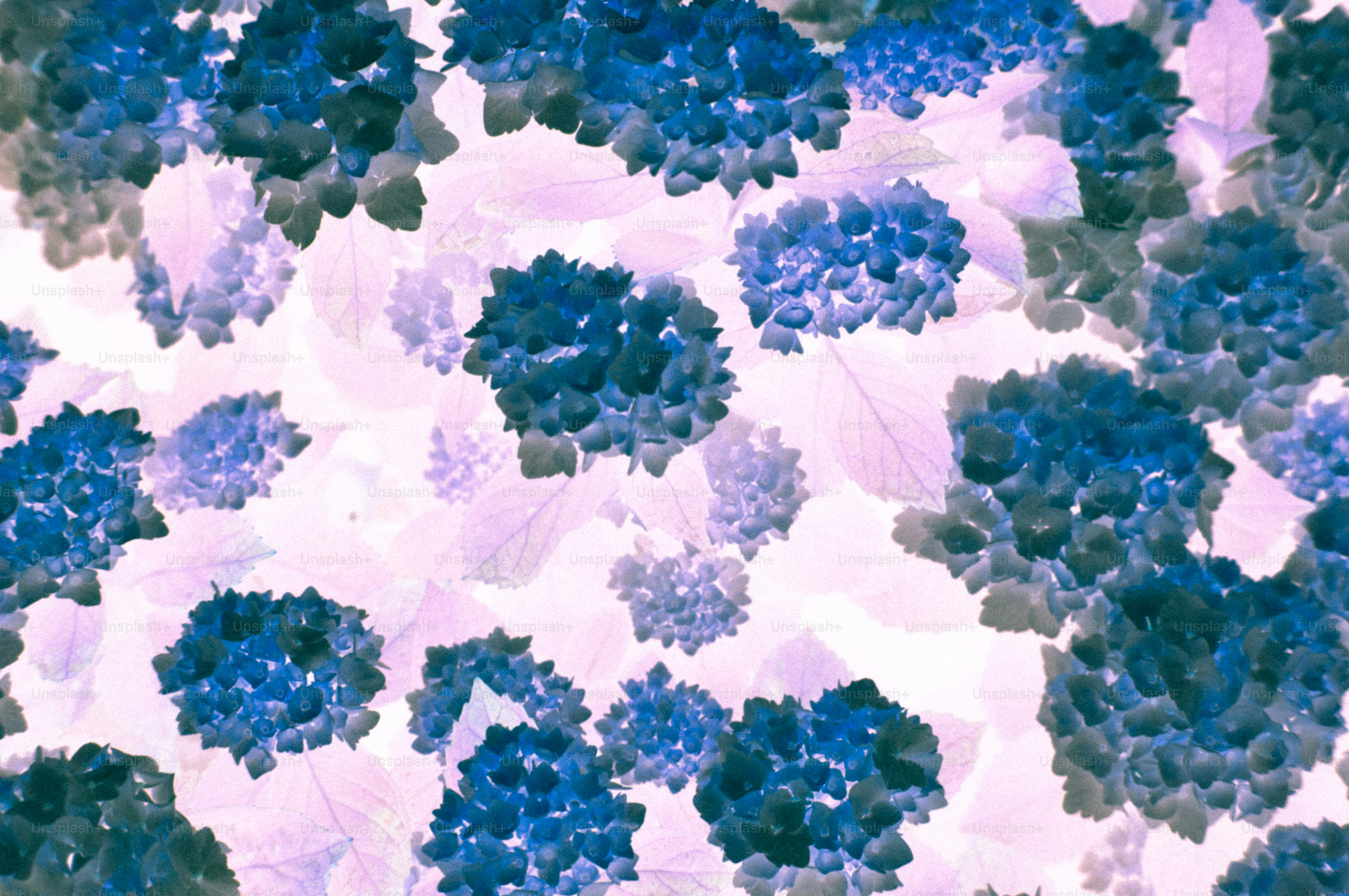 Abstract blue and purple hydrangea flower pattern