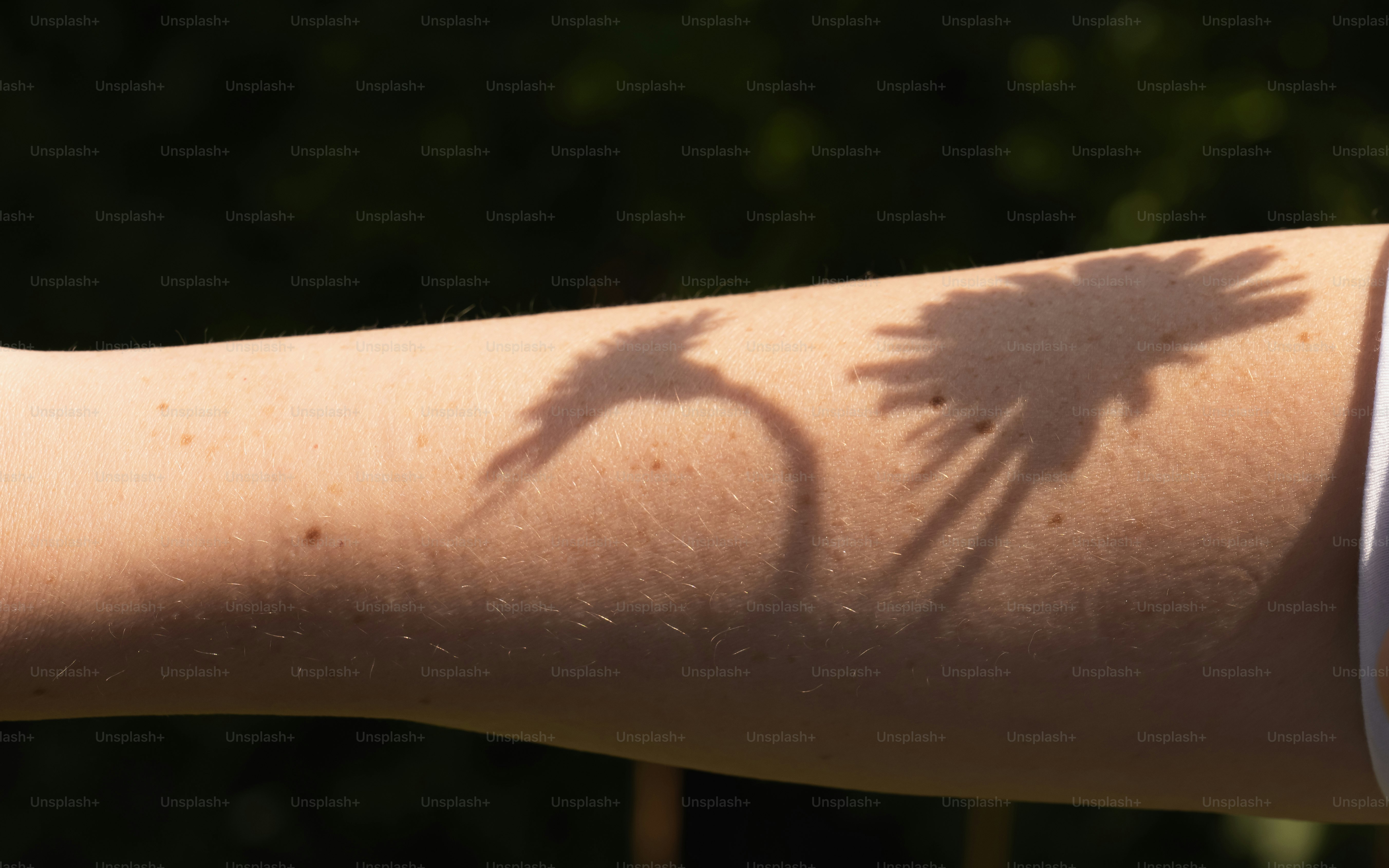 Bird shadows on a person's arm