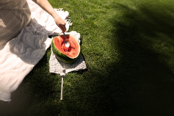 Summer Light 고화질 사진 컬렉션 (2개 이미지)  | PictureHub