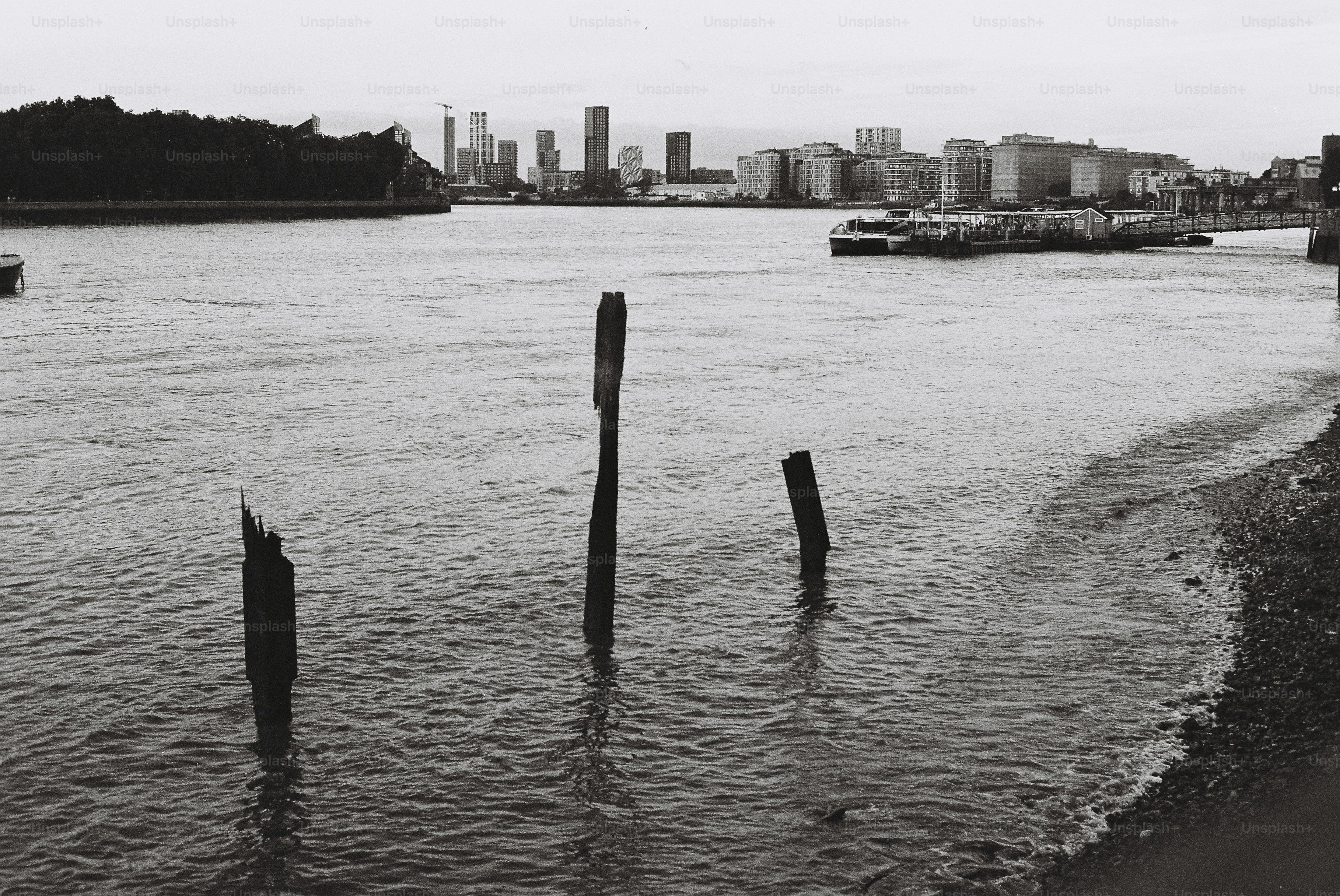 Urban river with three wooden posts and distant skyline