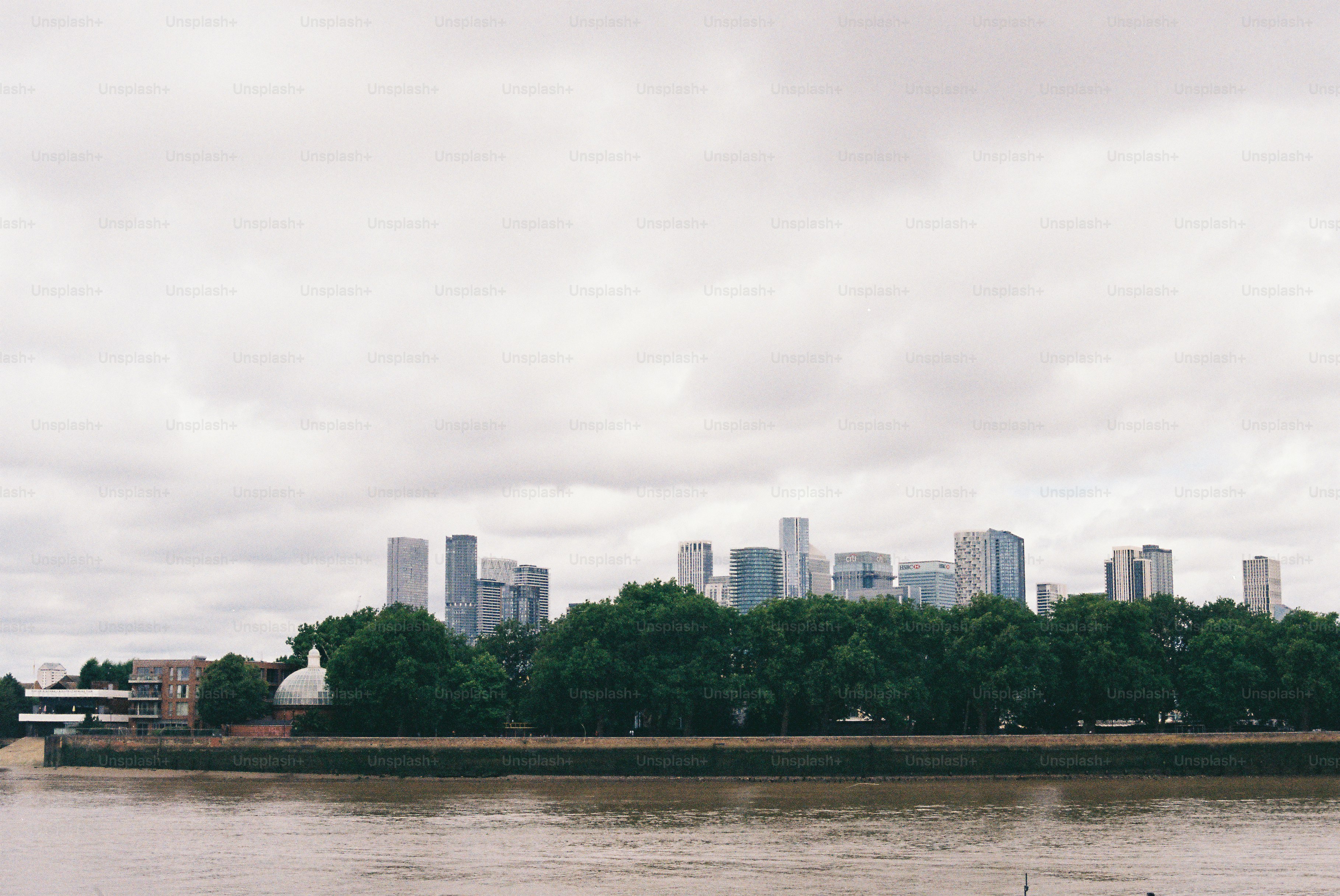 City skyline and river with green trees