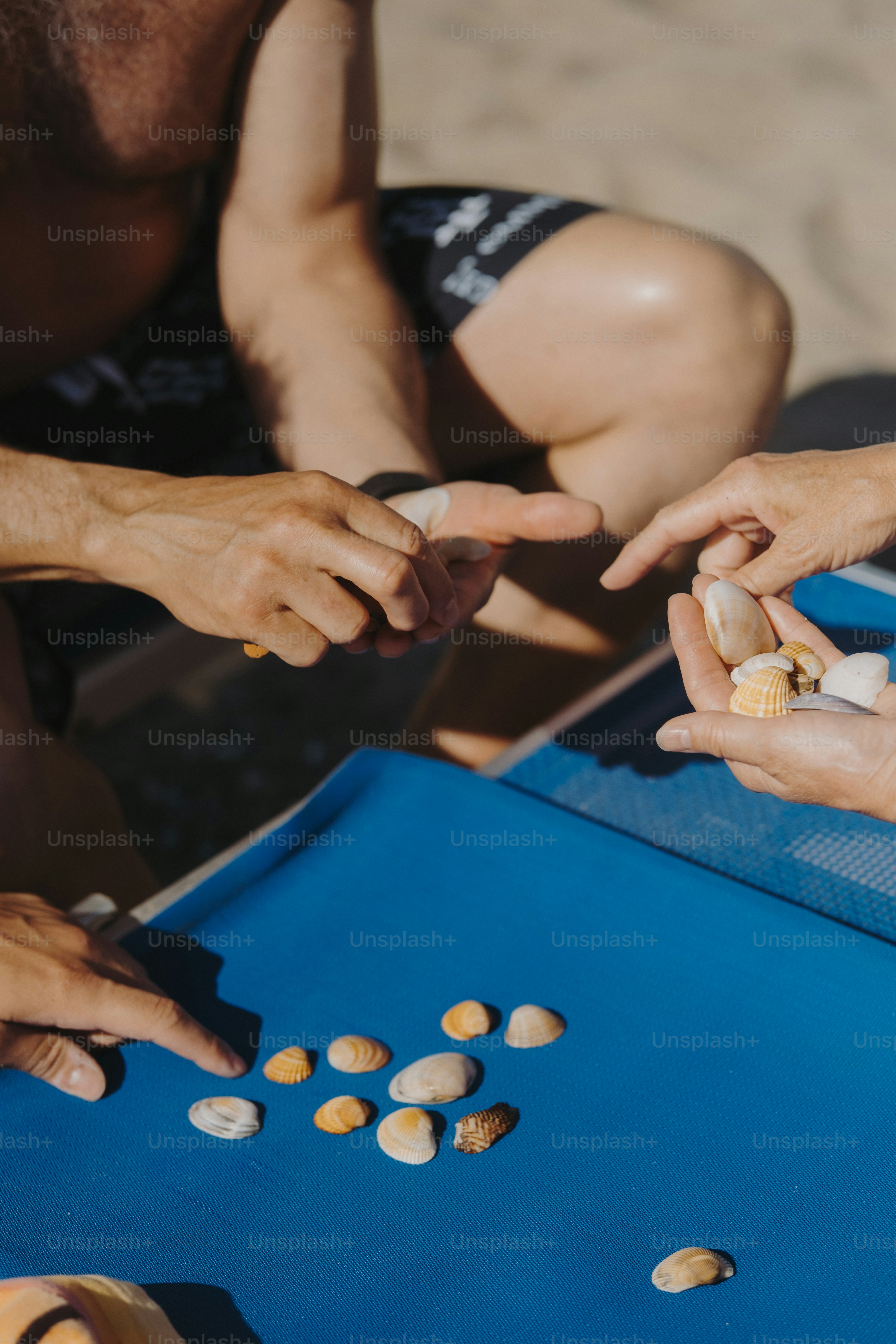 Hands sorting seashells on a blue beach chair