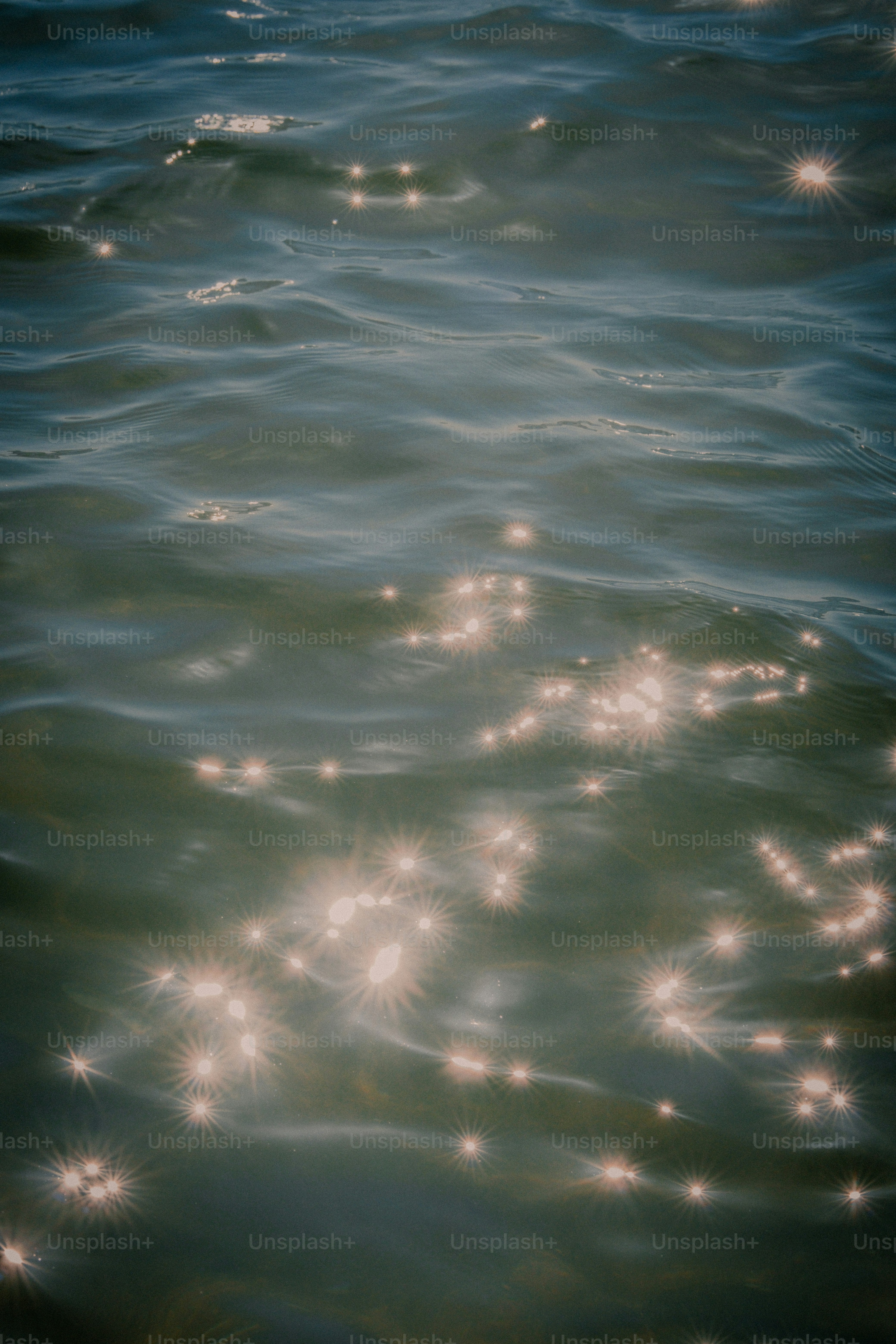 Sunlight sparkling on dark water surface