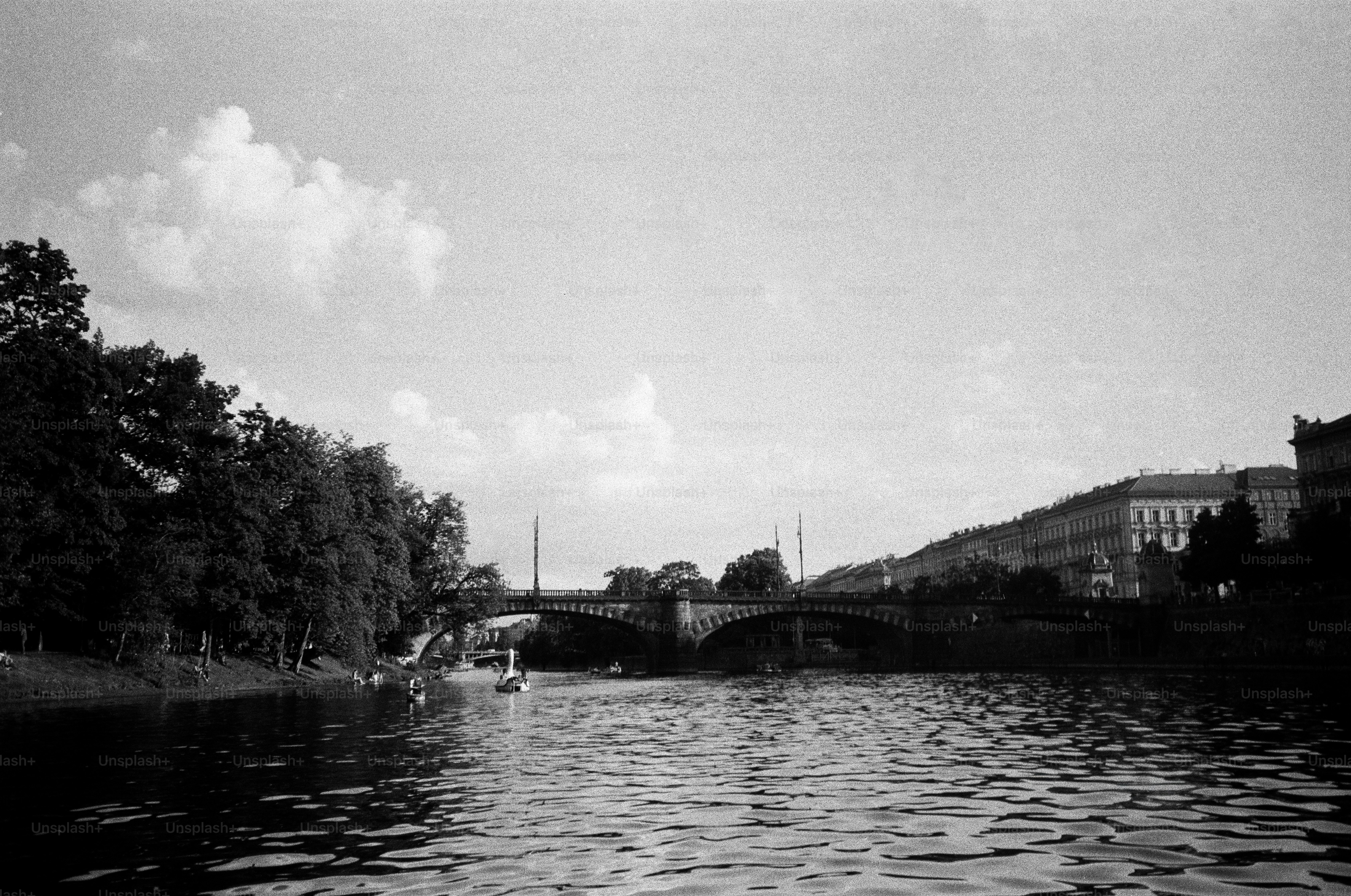 River and bridge flanked by trees and buildings