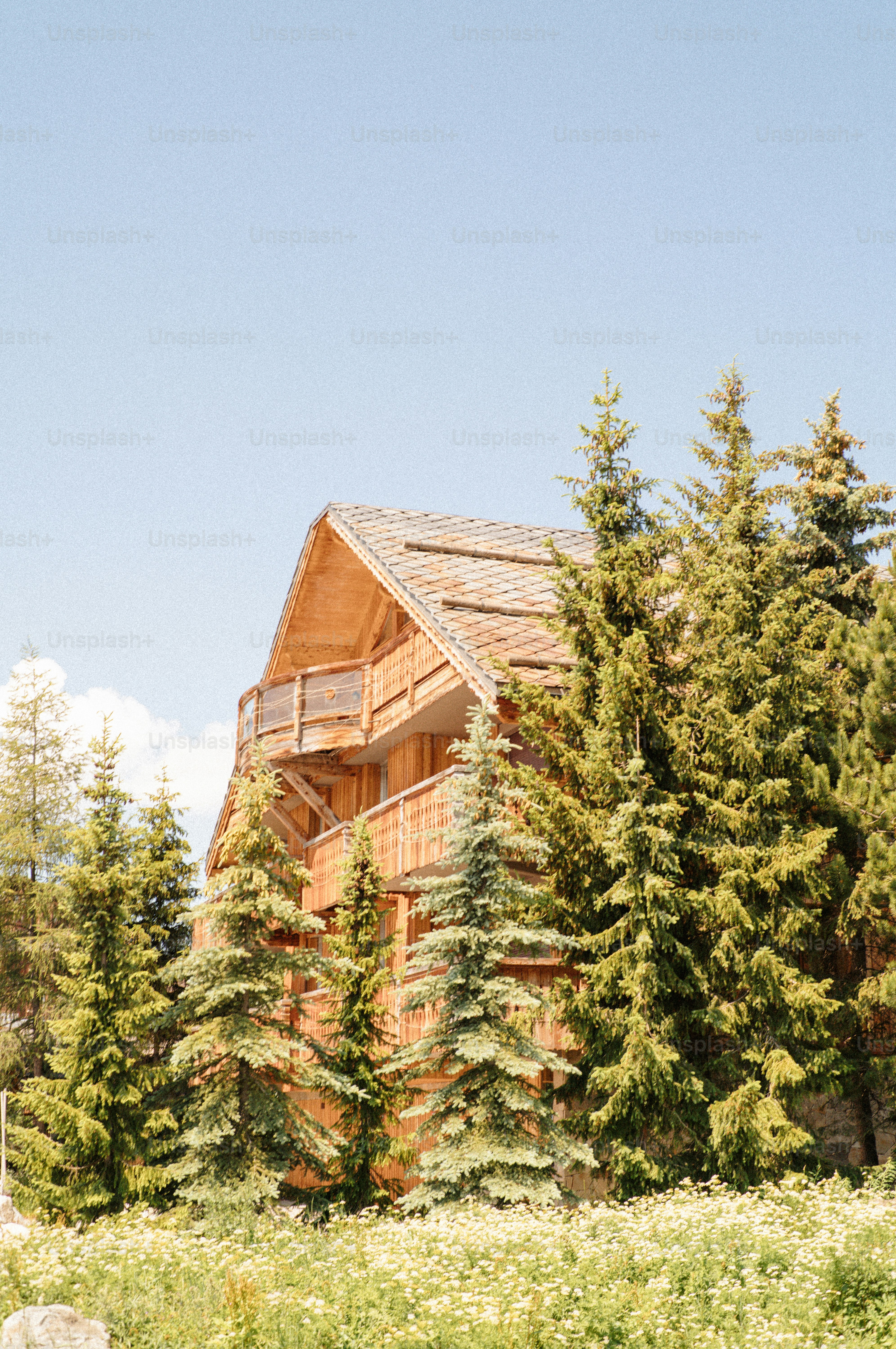 Wooden cabin nestled among tall evergreen trees photo – Balcony Image ...