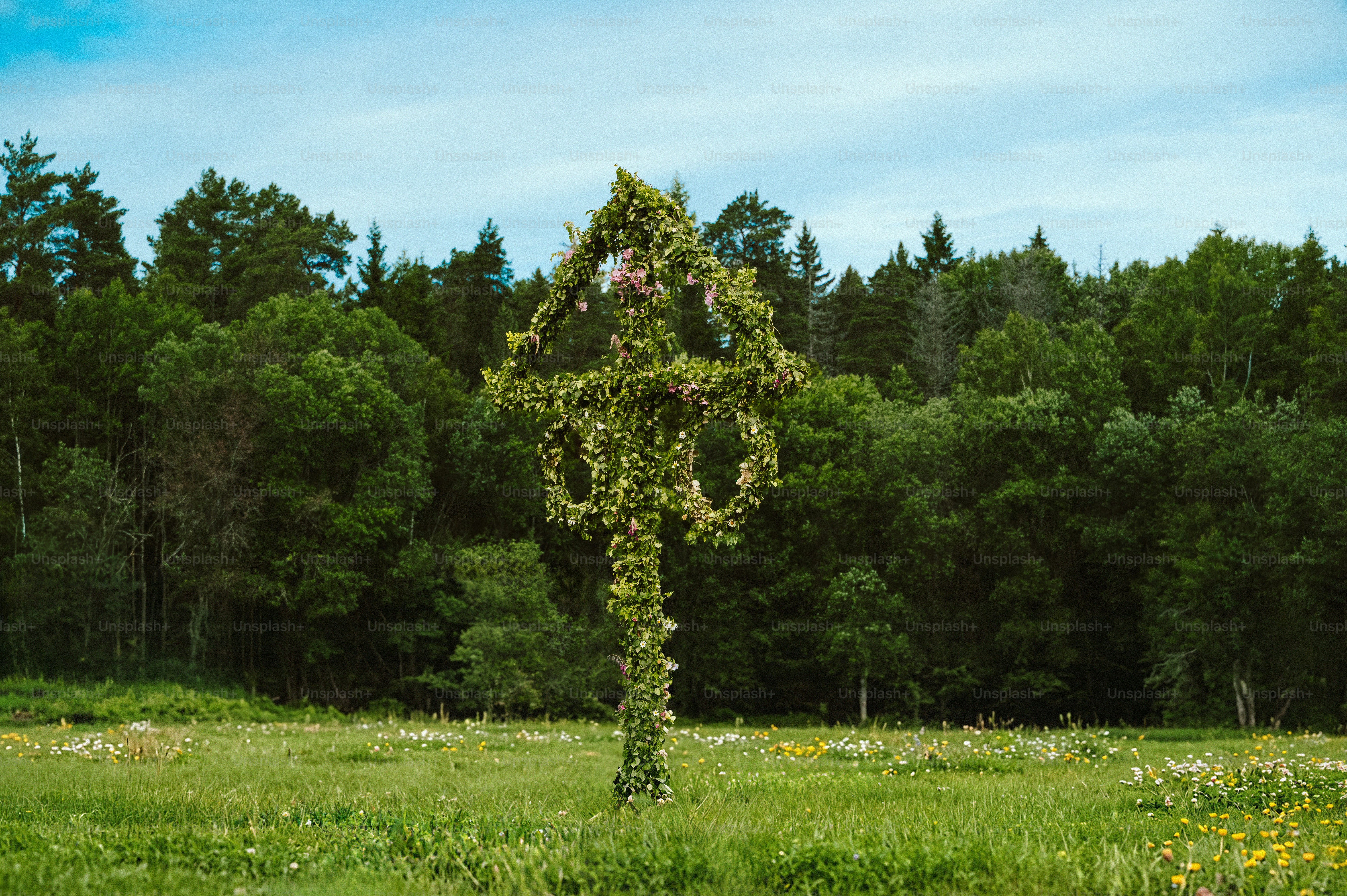 Schwedischer Maibaum im Mittsommer auf einer grünen Wiese