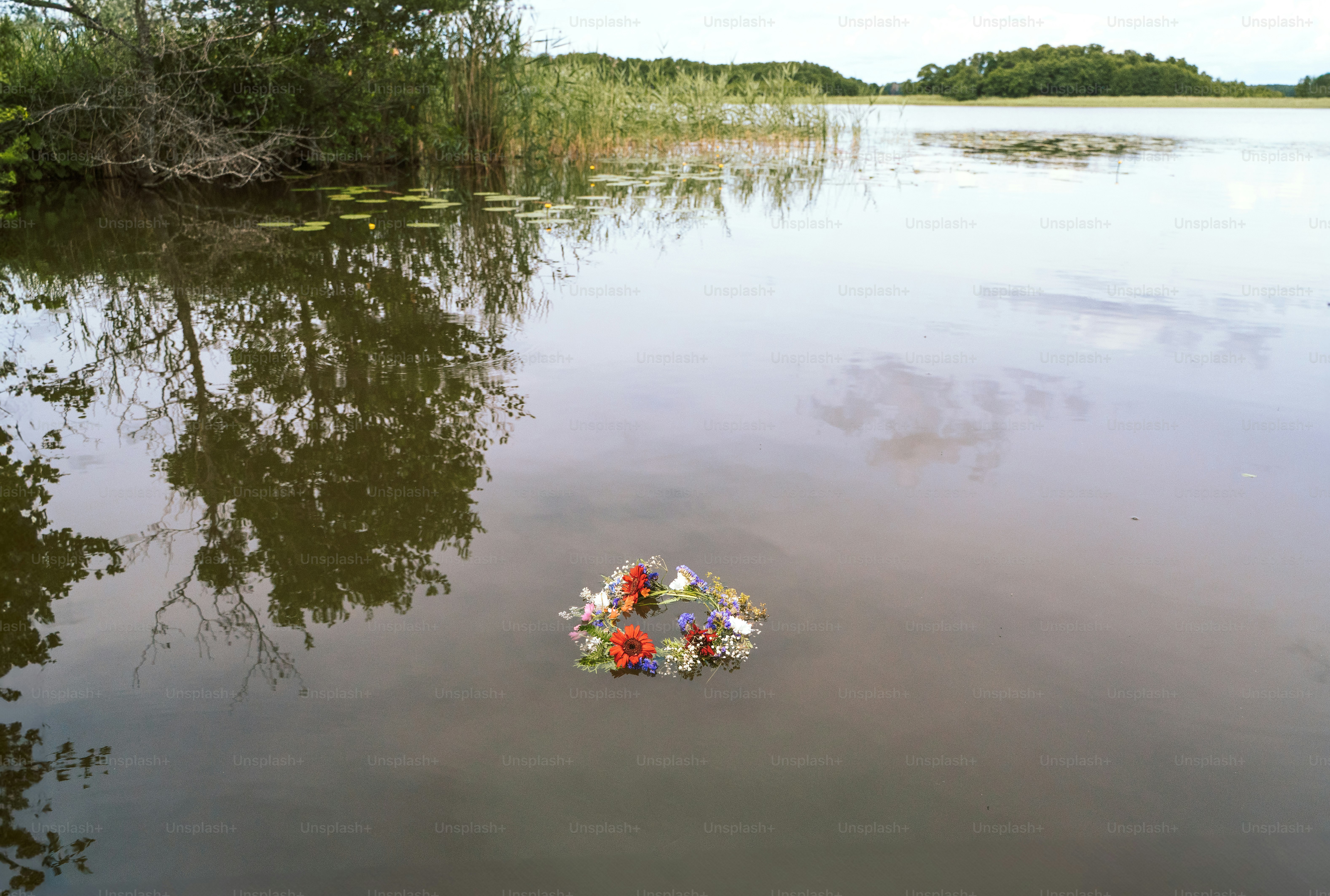 Blumenkranz, der auf ruhigem Wasser mit Schilf schwimmt