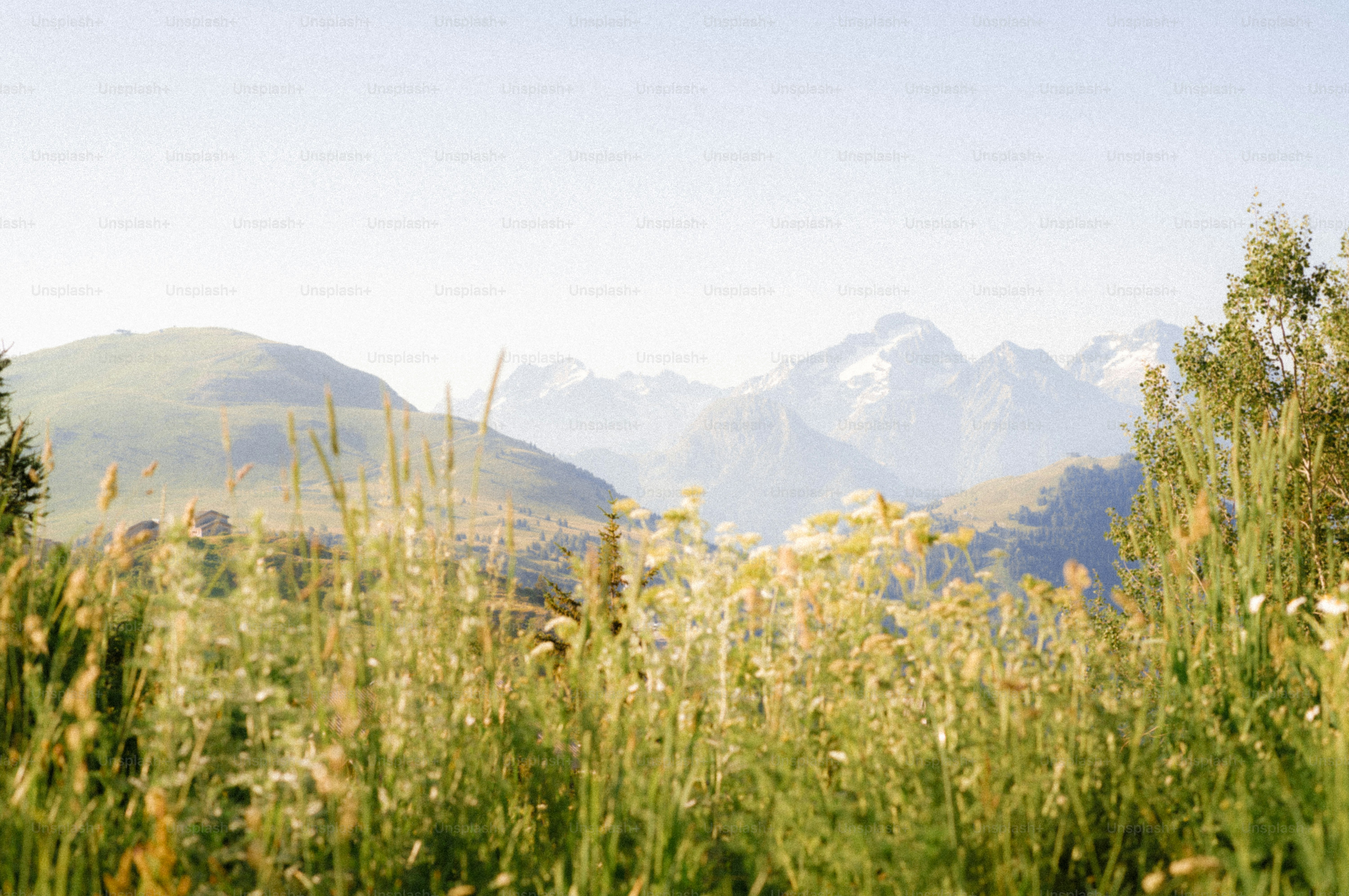 Mountain landscape with sunlit grass and hazy peaks