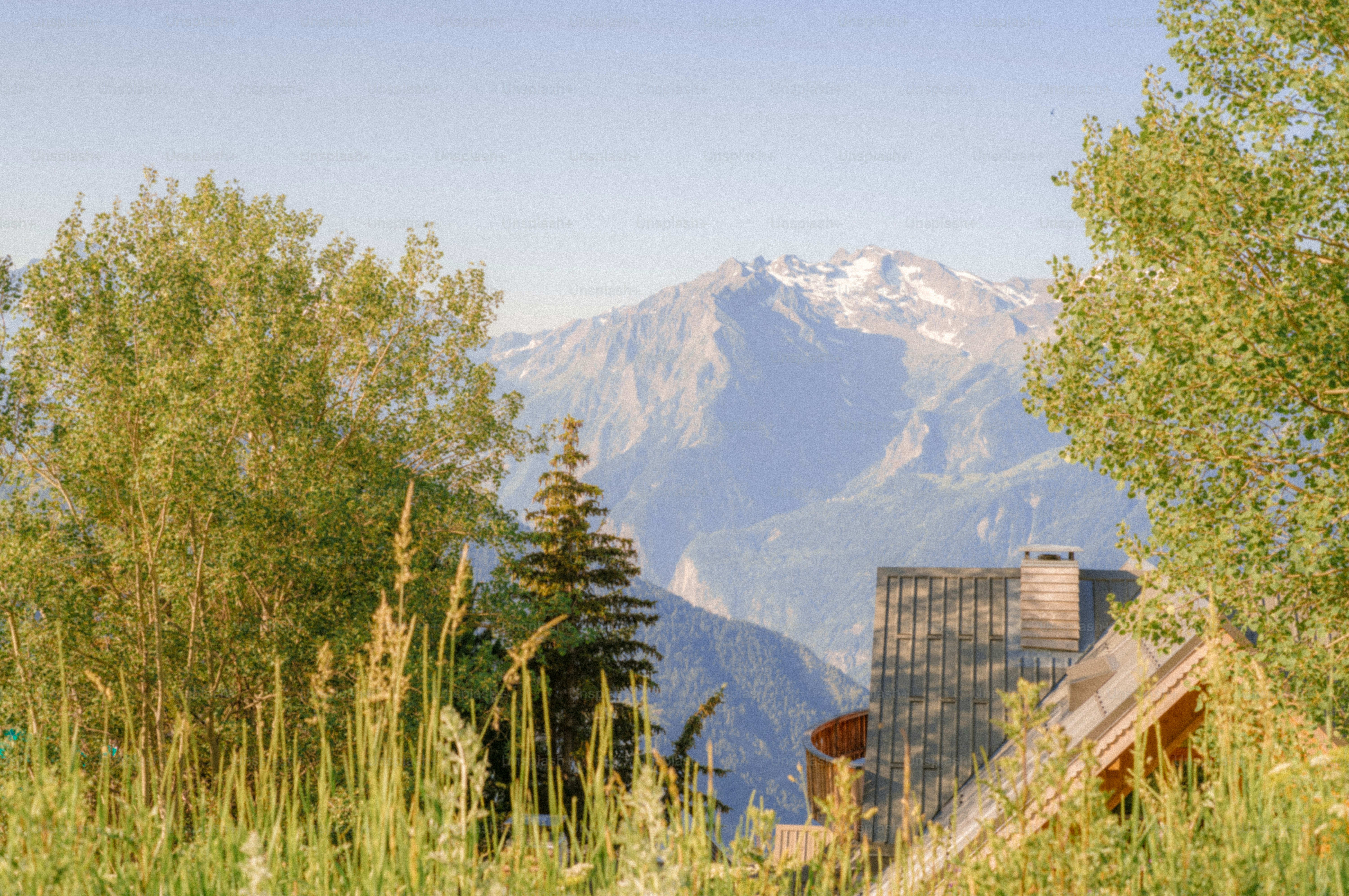 Mountain peak and building among green trees