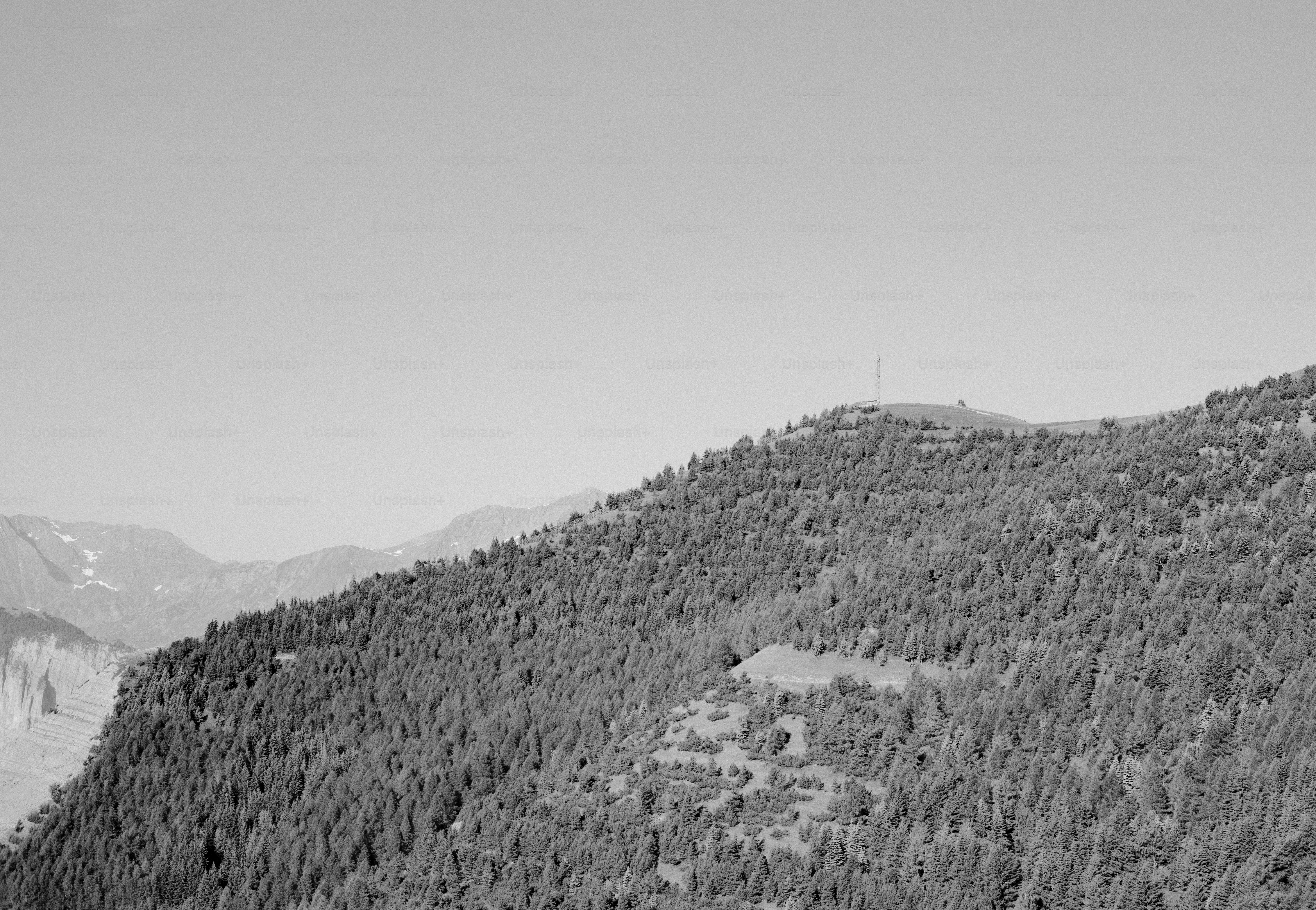 Forest-covered mountain with a tower under clear sky