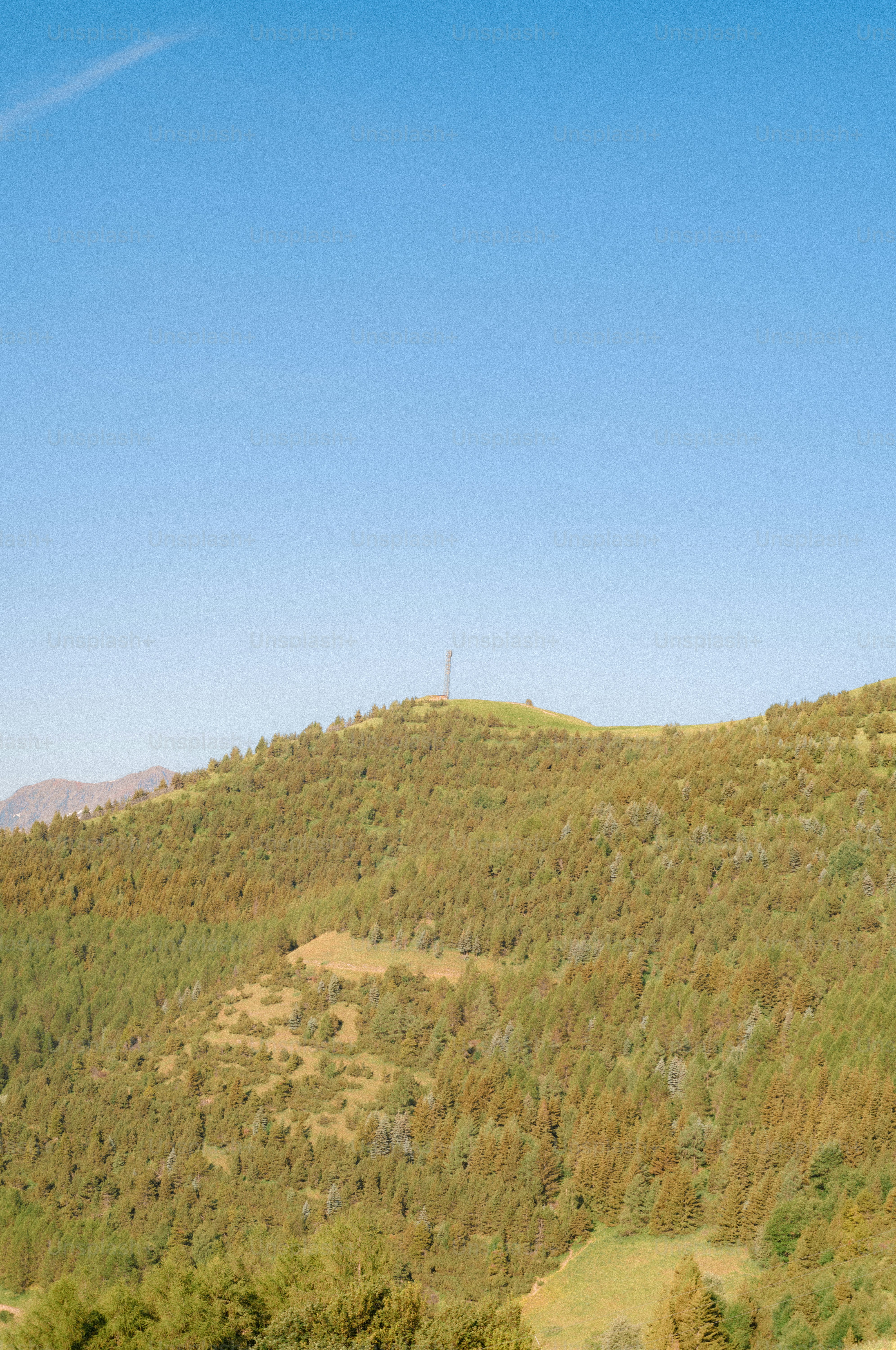 Tree-covered hill with tower against clear sky