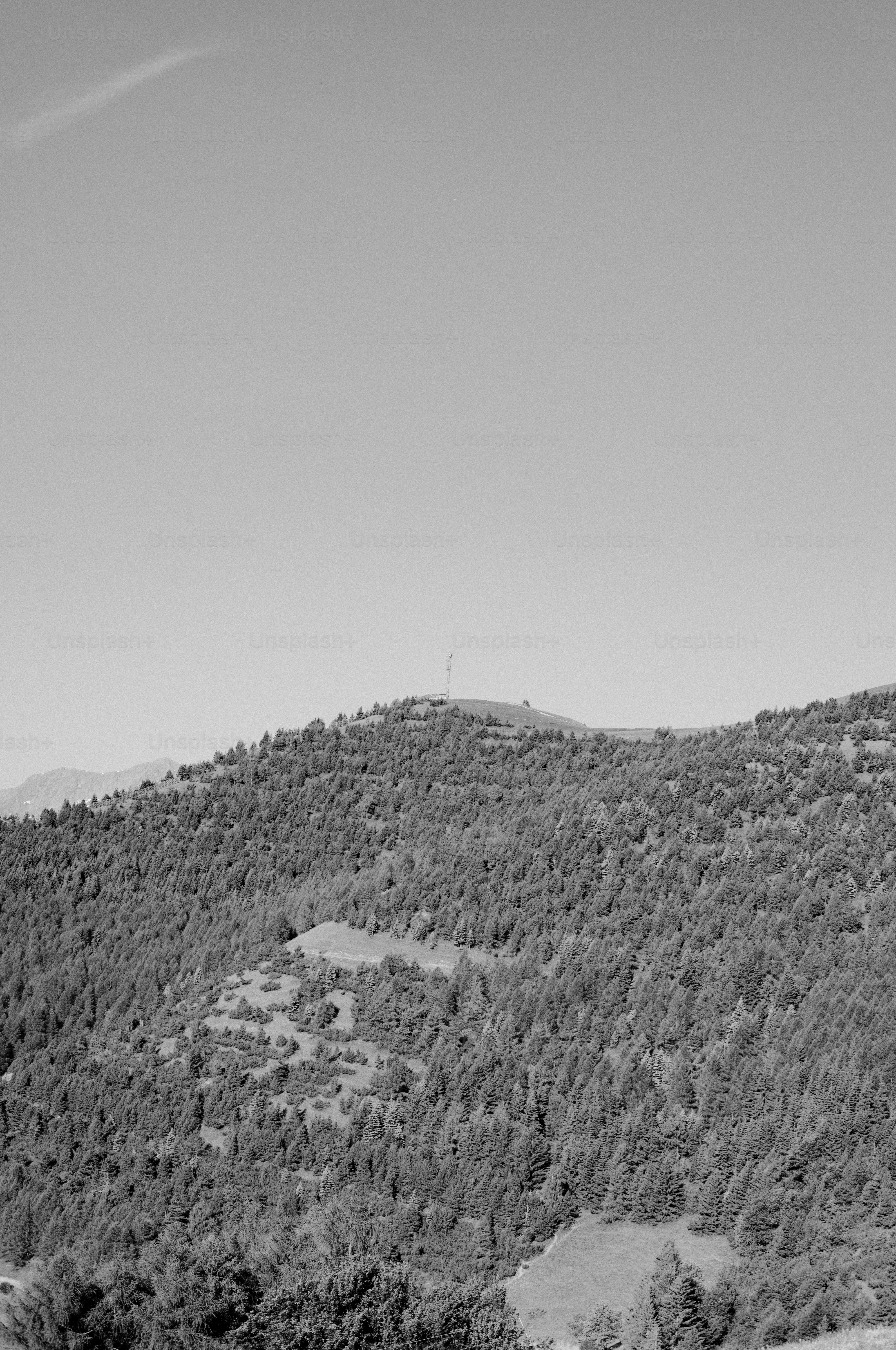 Black and white forested mountain with tower