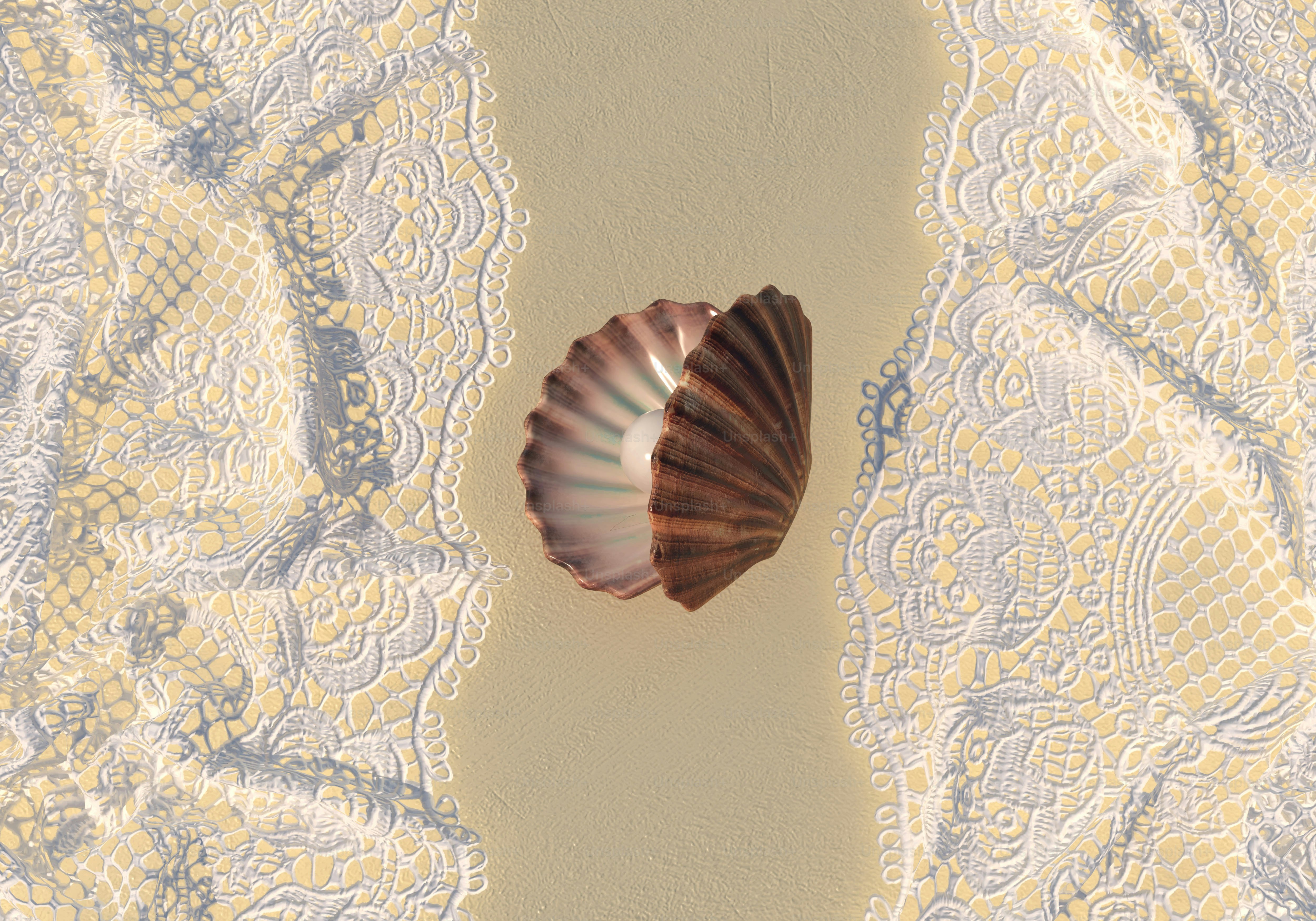 Scallop shell on sand with decorative lace borders