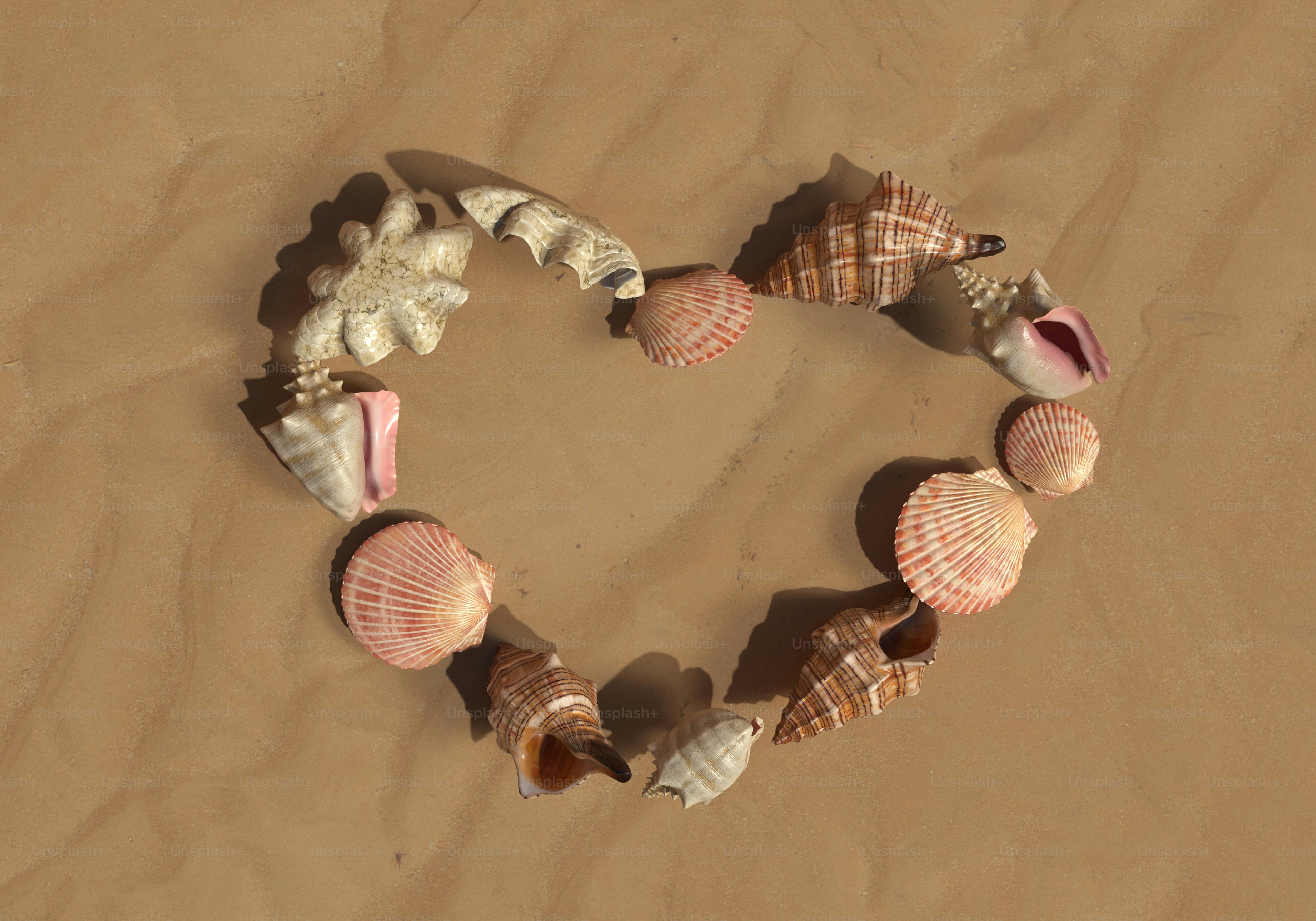 Seashells forming a heart on sand