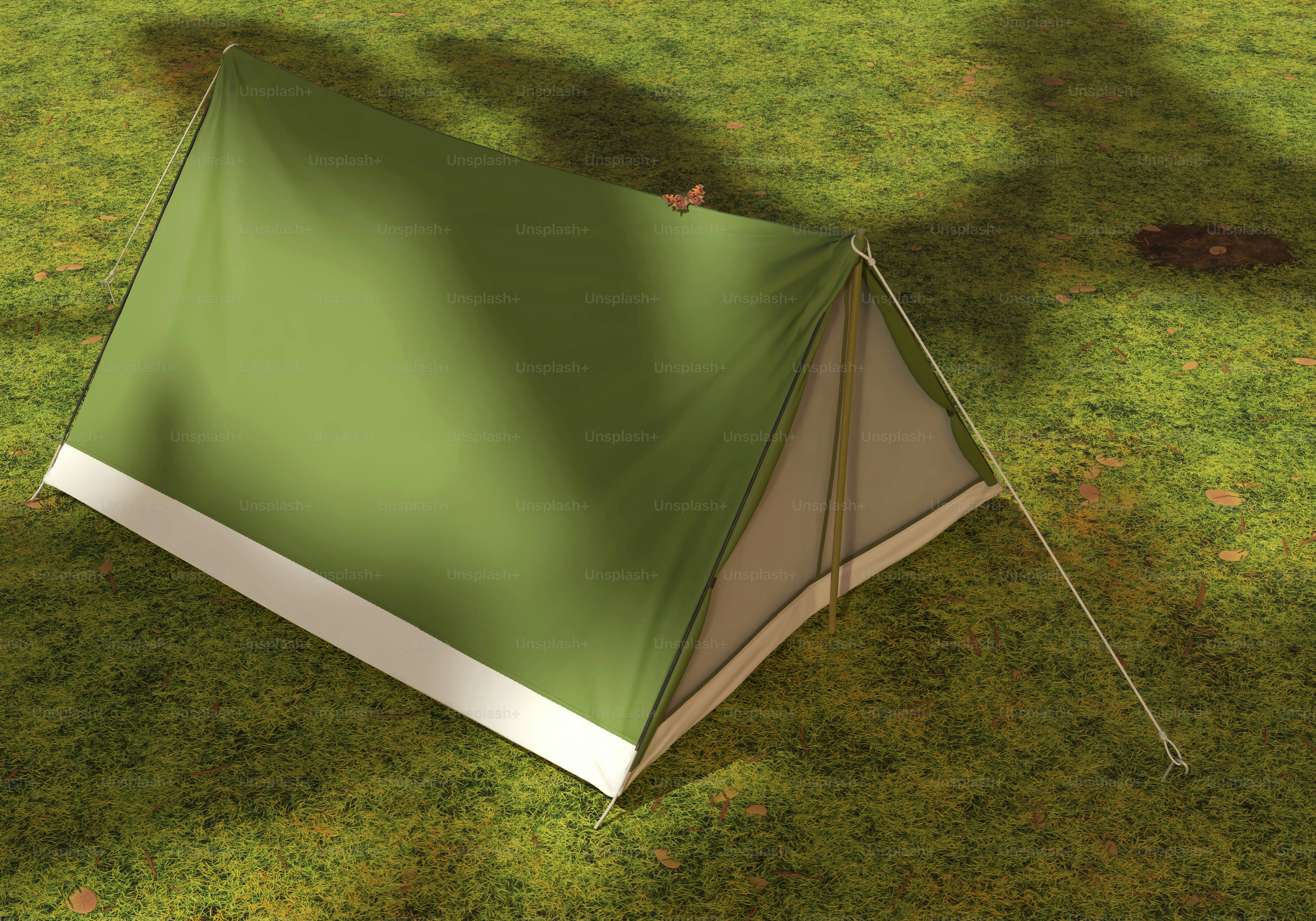 Green tent pitched on grassy ground