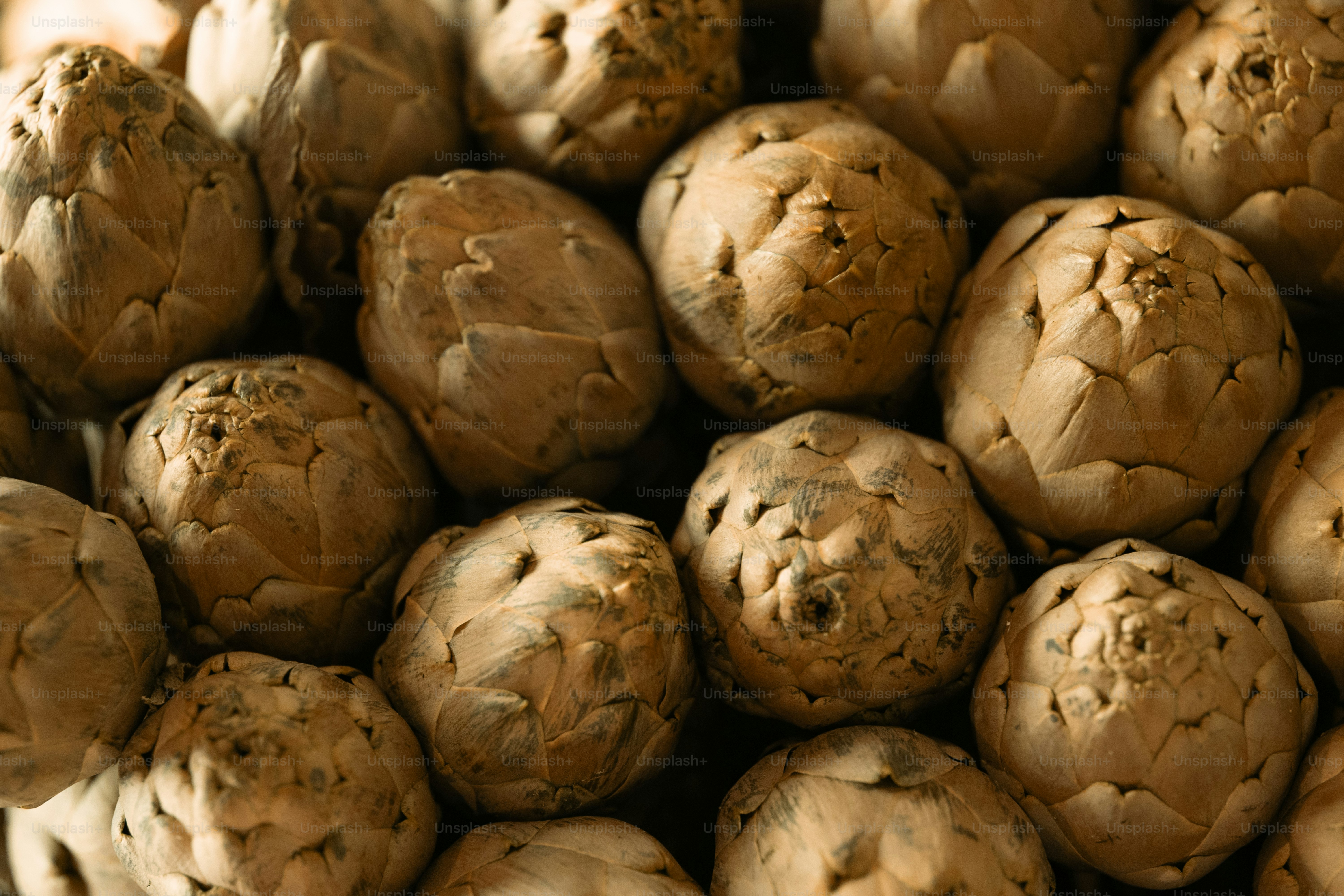 Fresh raw artichokes piled closely together