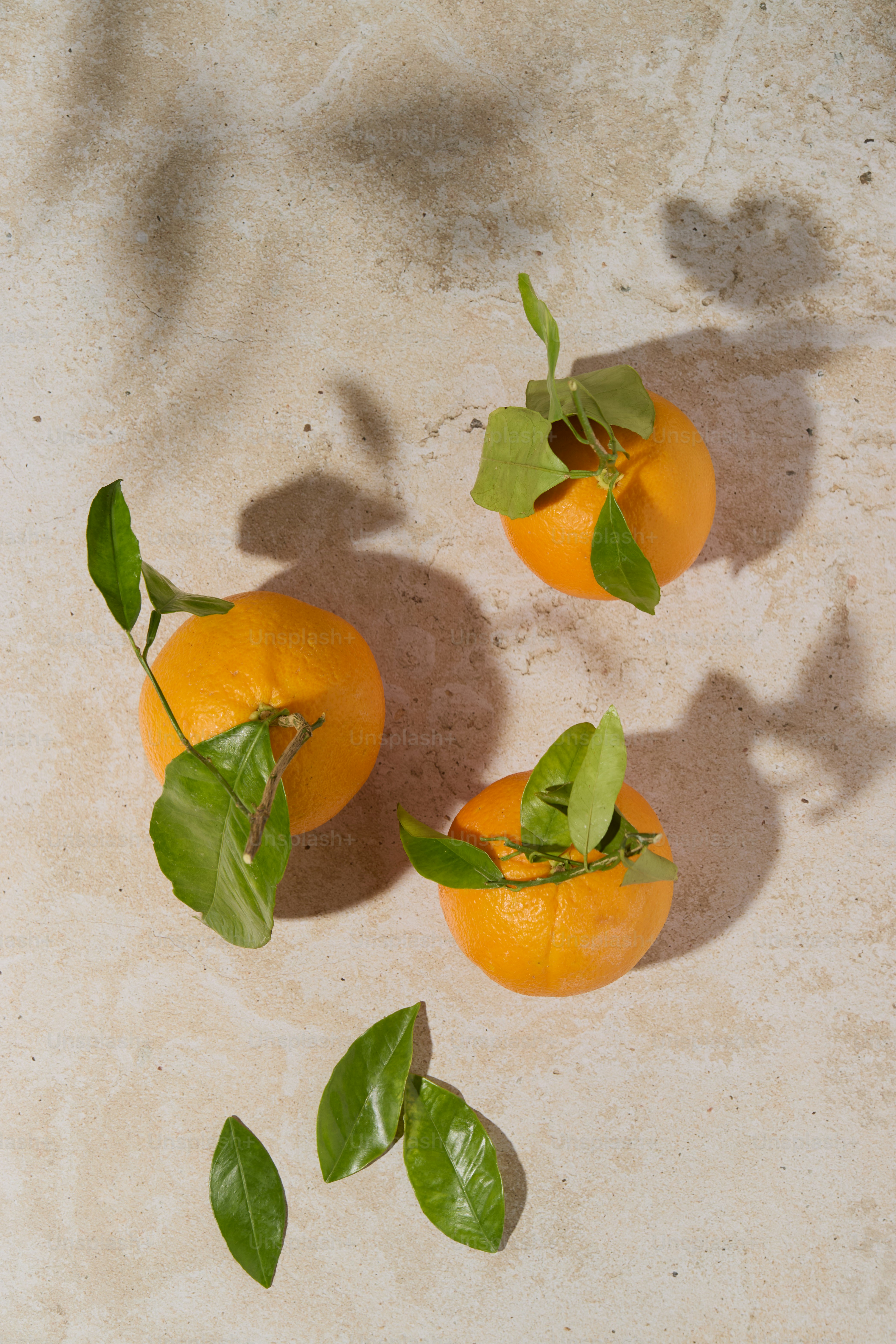 Three oranges with leaves on stone in sunlight