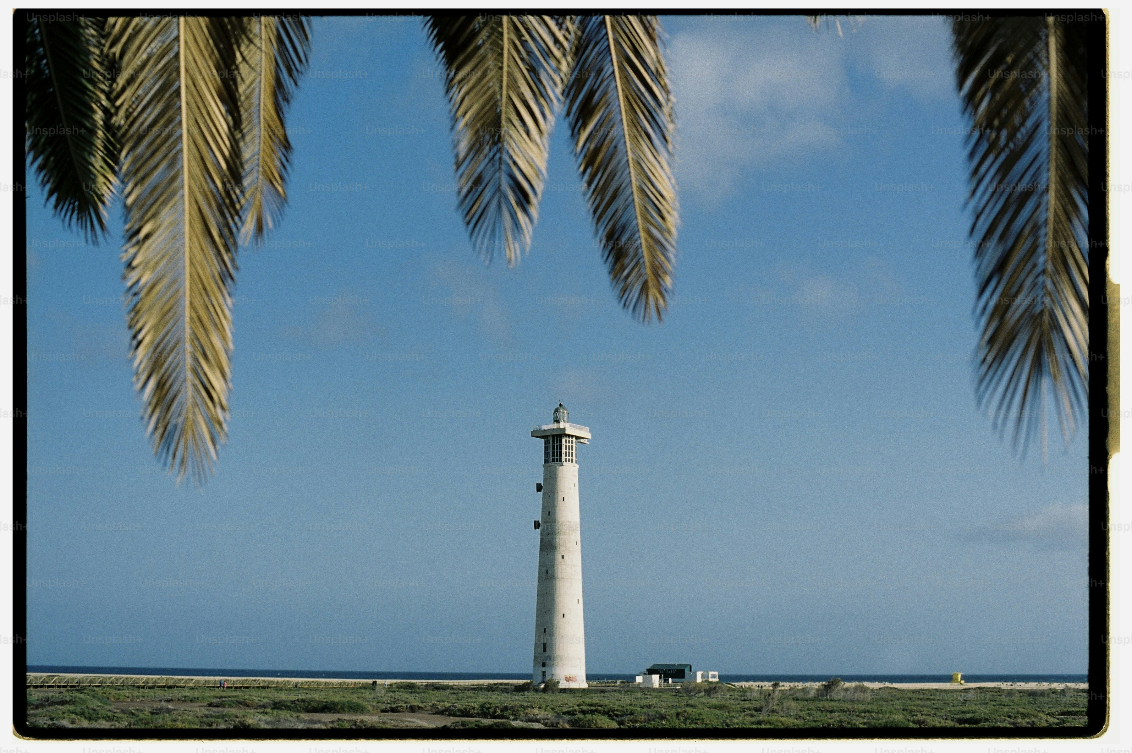 Lighthouse framed by palm fronds, blue sky, sea.