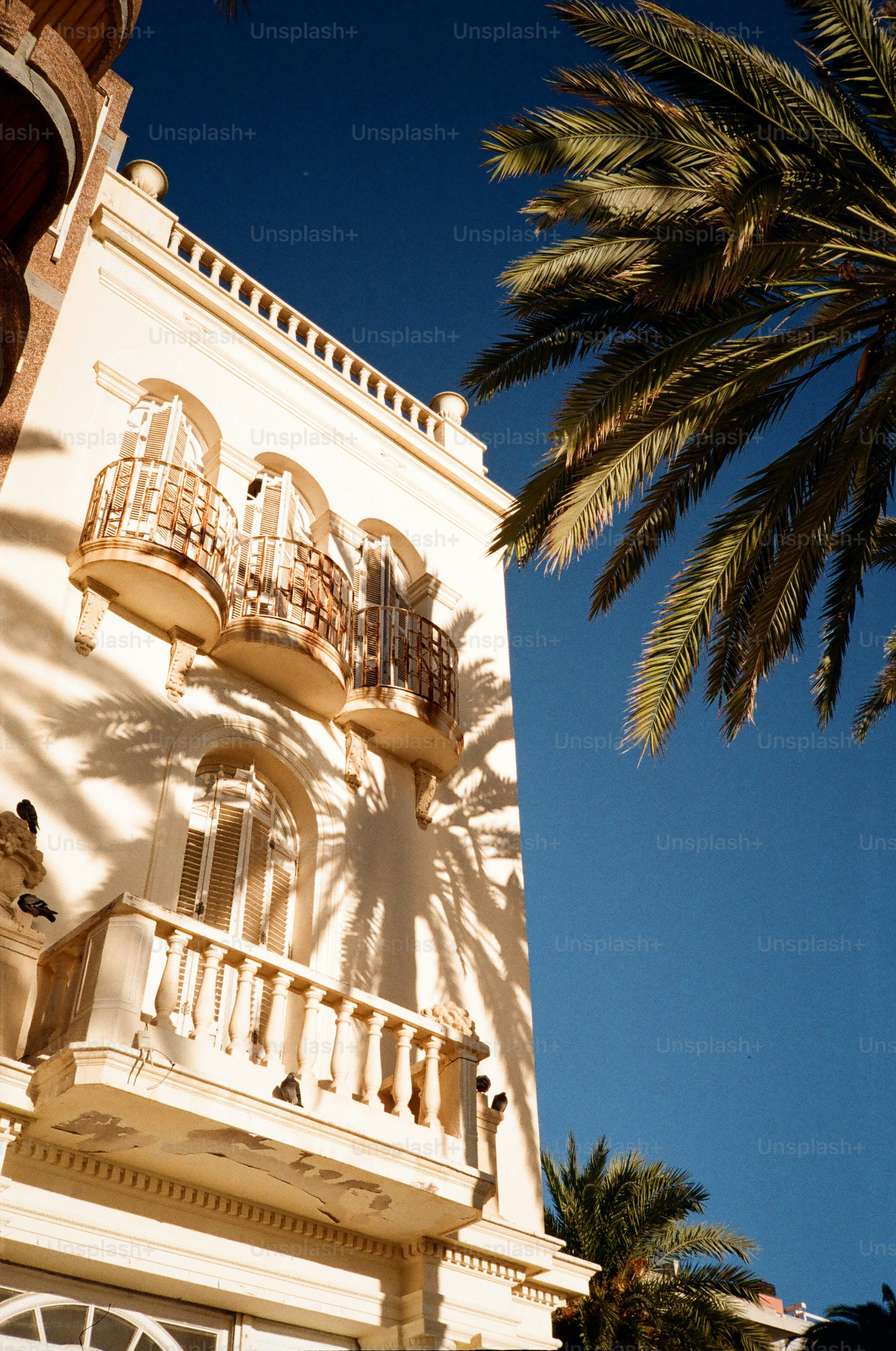 White building with palm tree shadows and blue sky