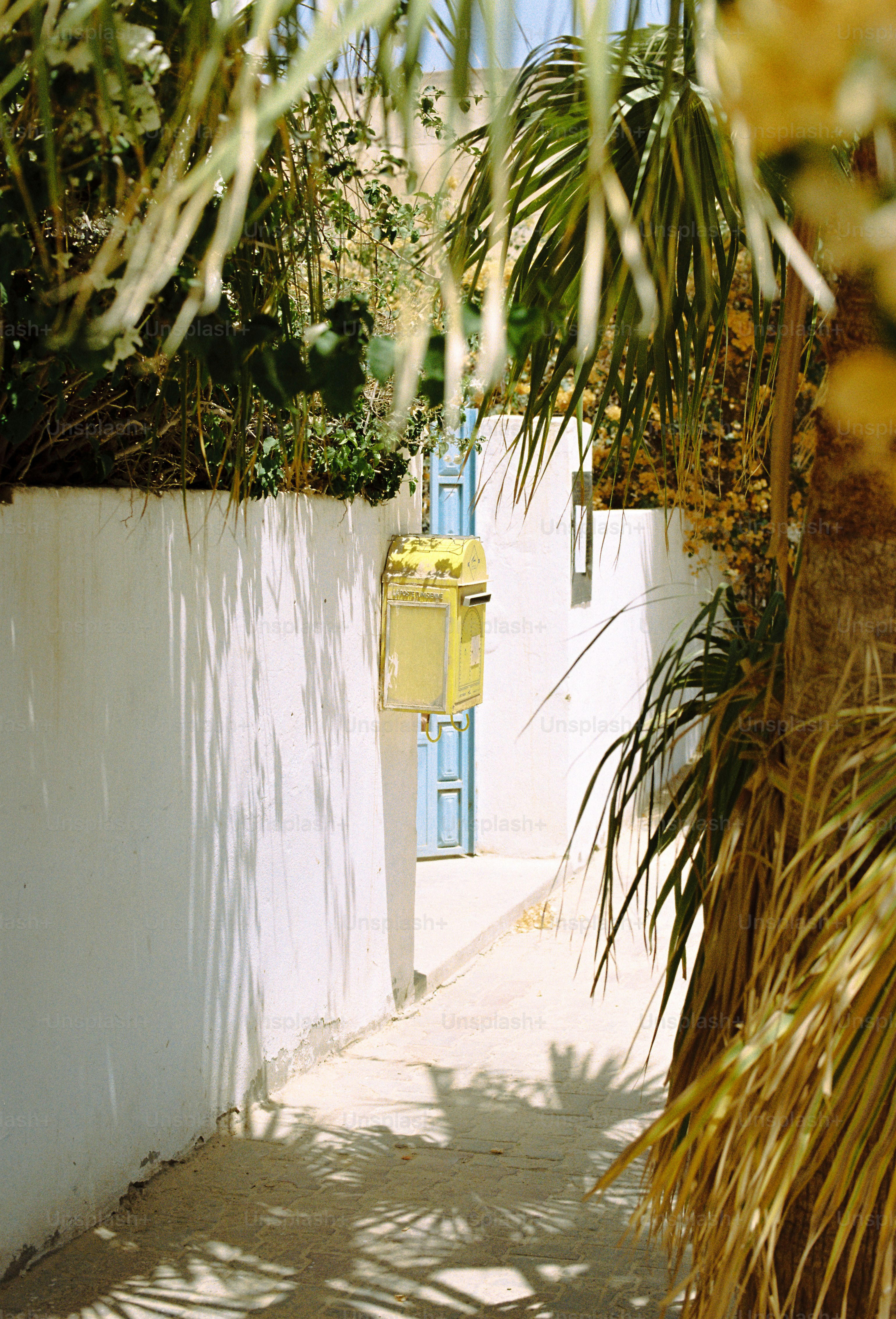 White walled pathway with yellow mailbox and blue door
