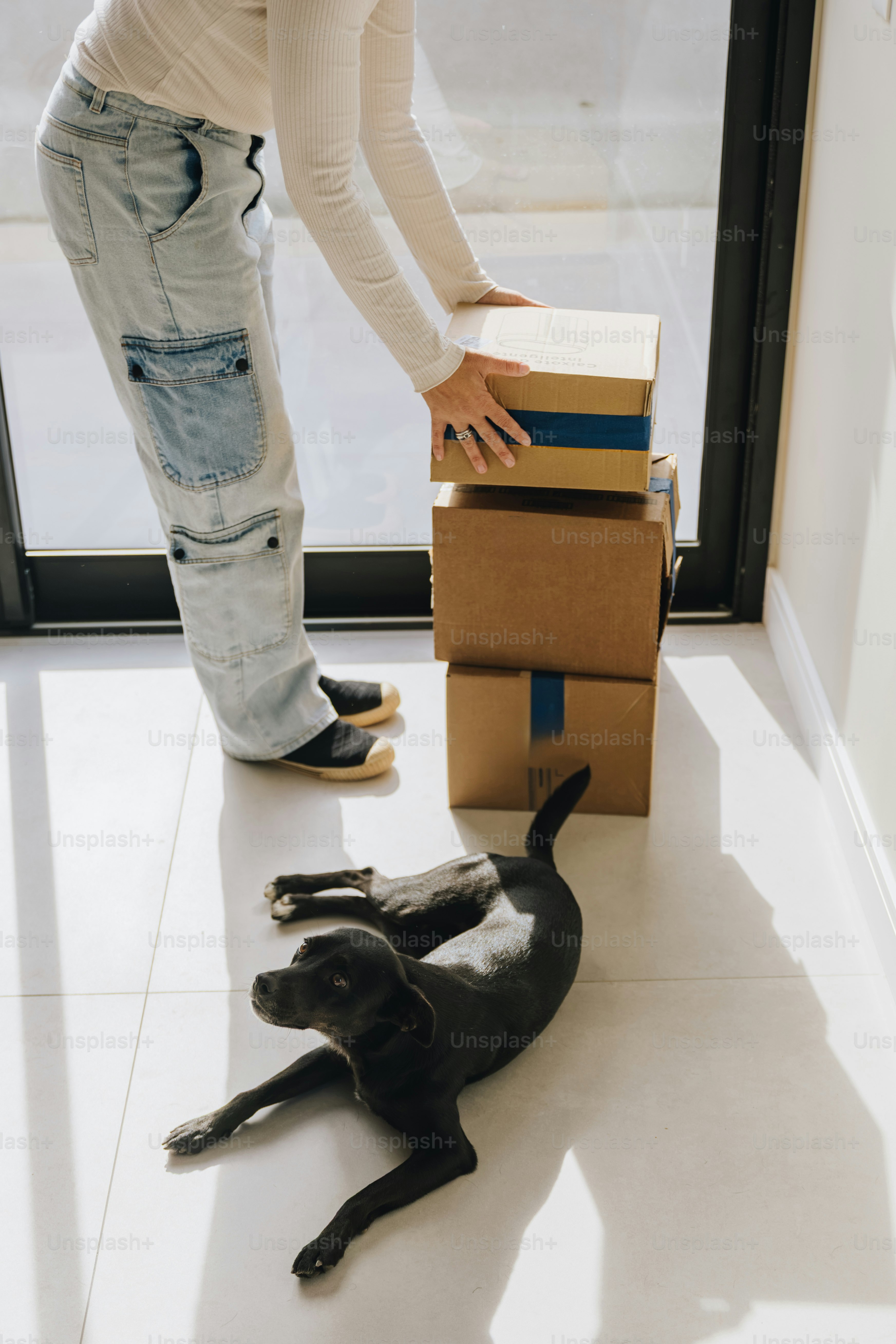 Donna che impila scatole di cartone accanto al cane nero