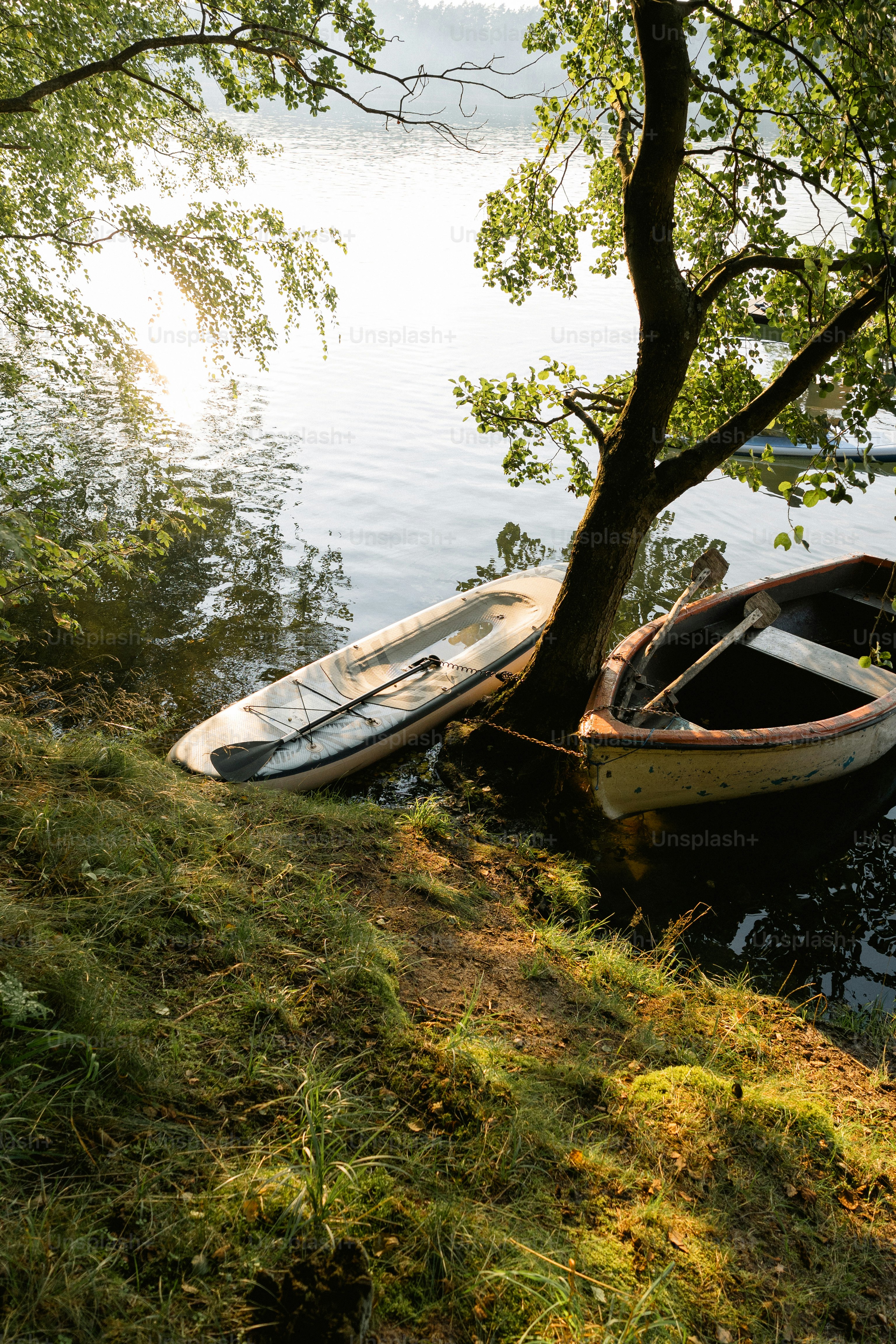 Boats along a grassy lake shore at sunrise