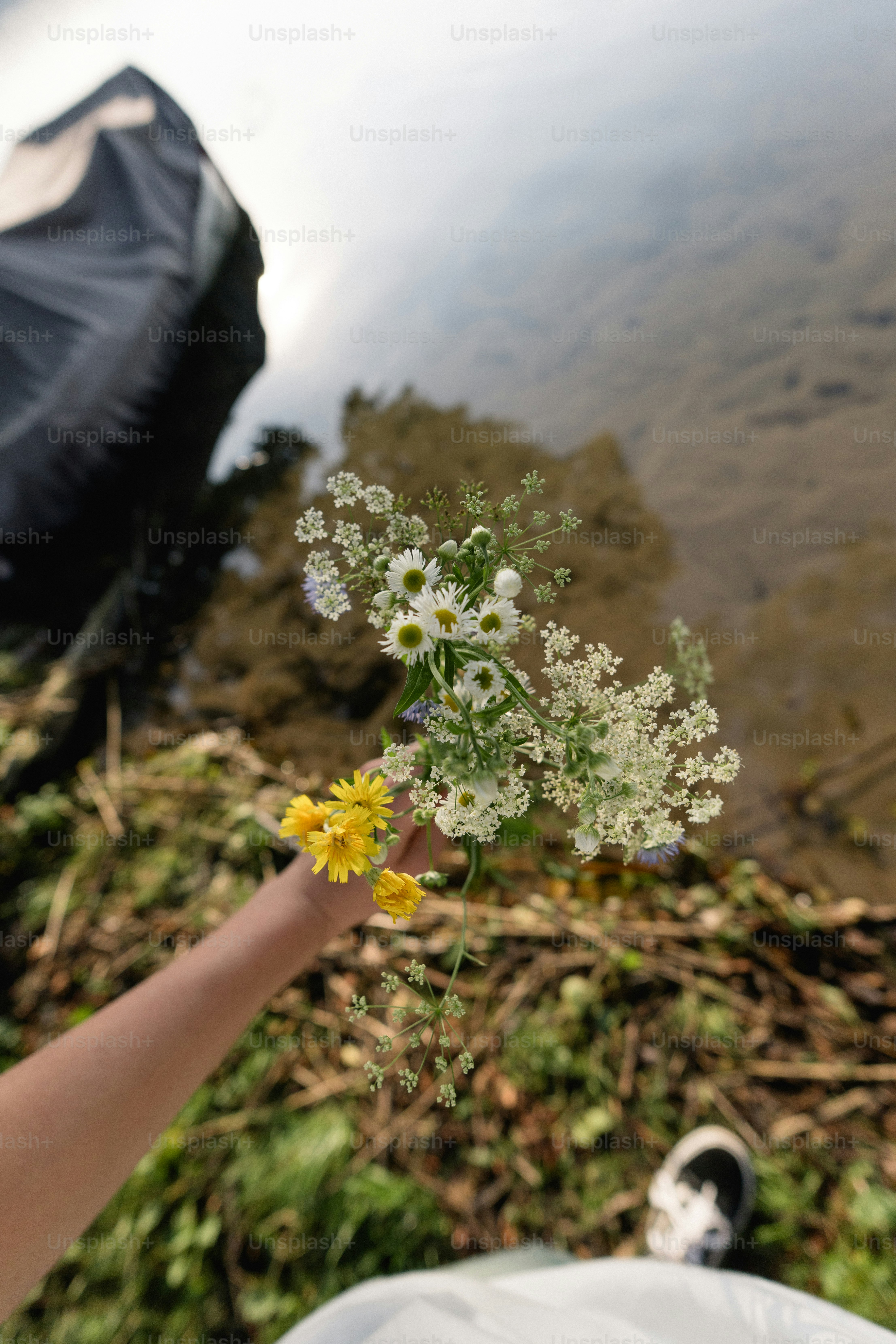Hand holding wildflowers by a lake