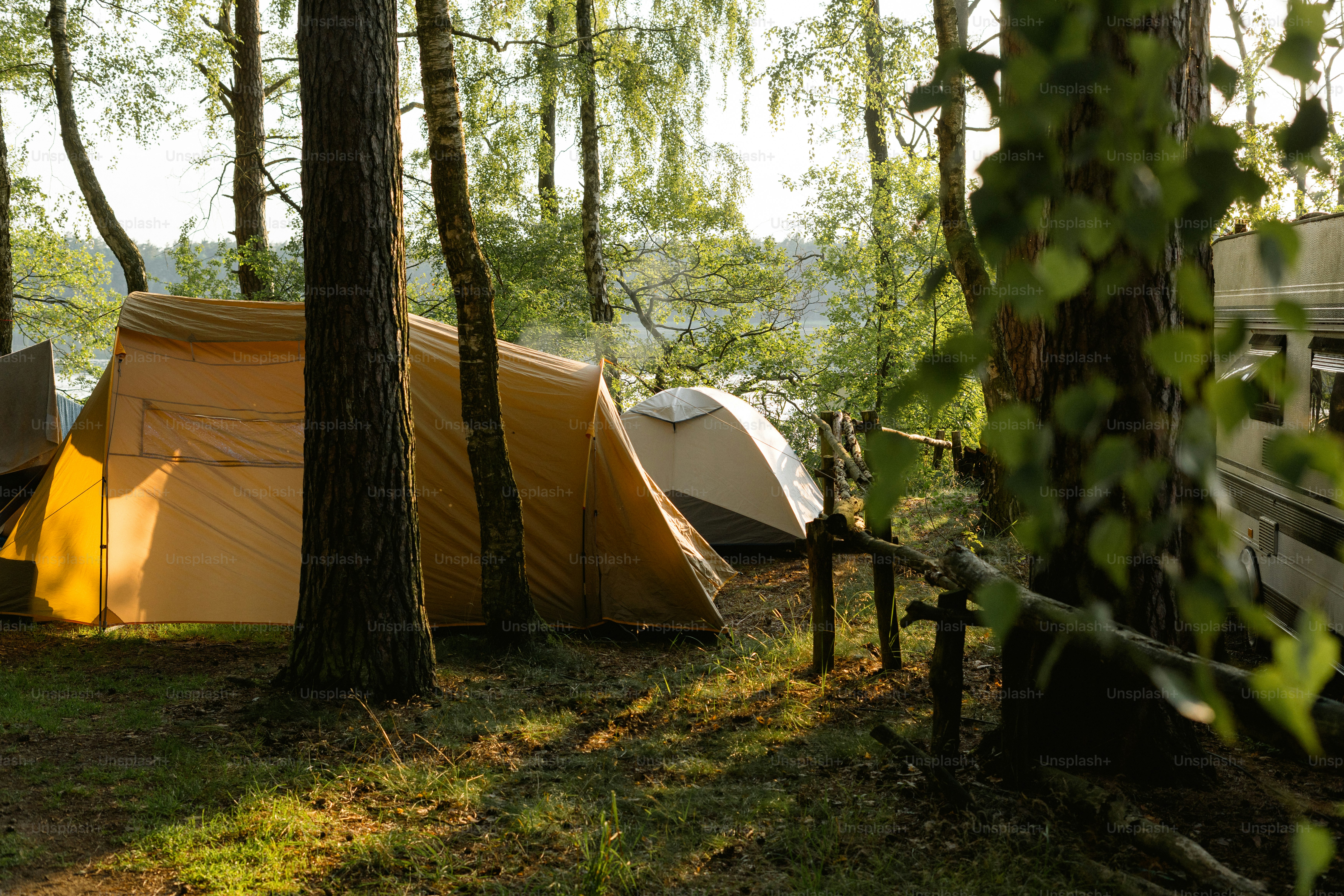 Camping tents in a sun-dappled forest by a lake
