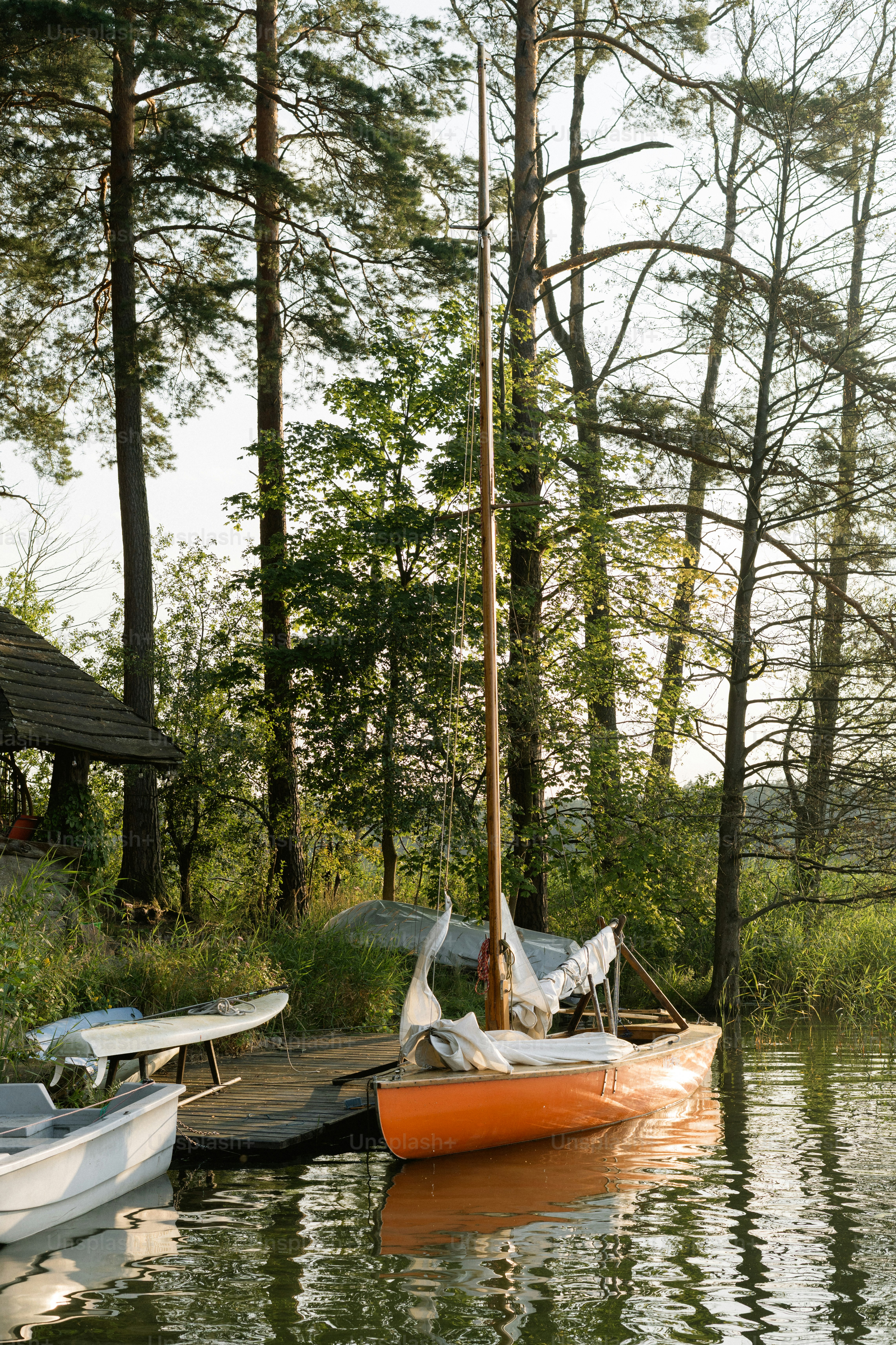 Orange sailboat docked at pier with tall trees