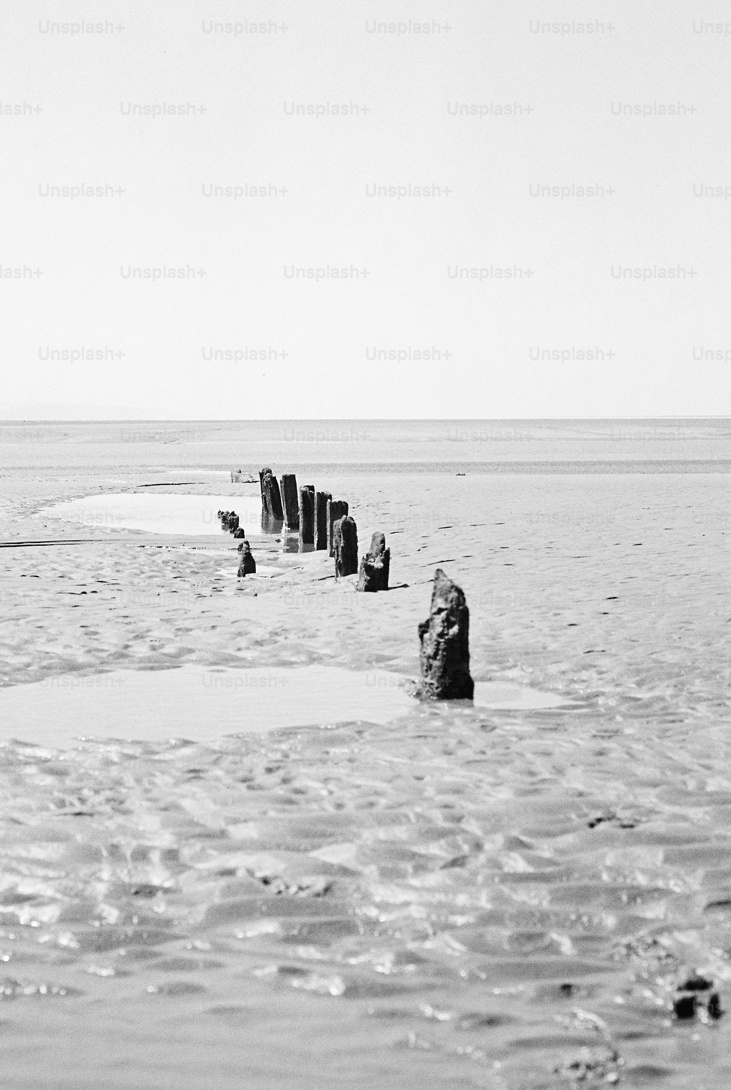 Black and white sandy beach with wooden posts