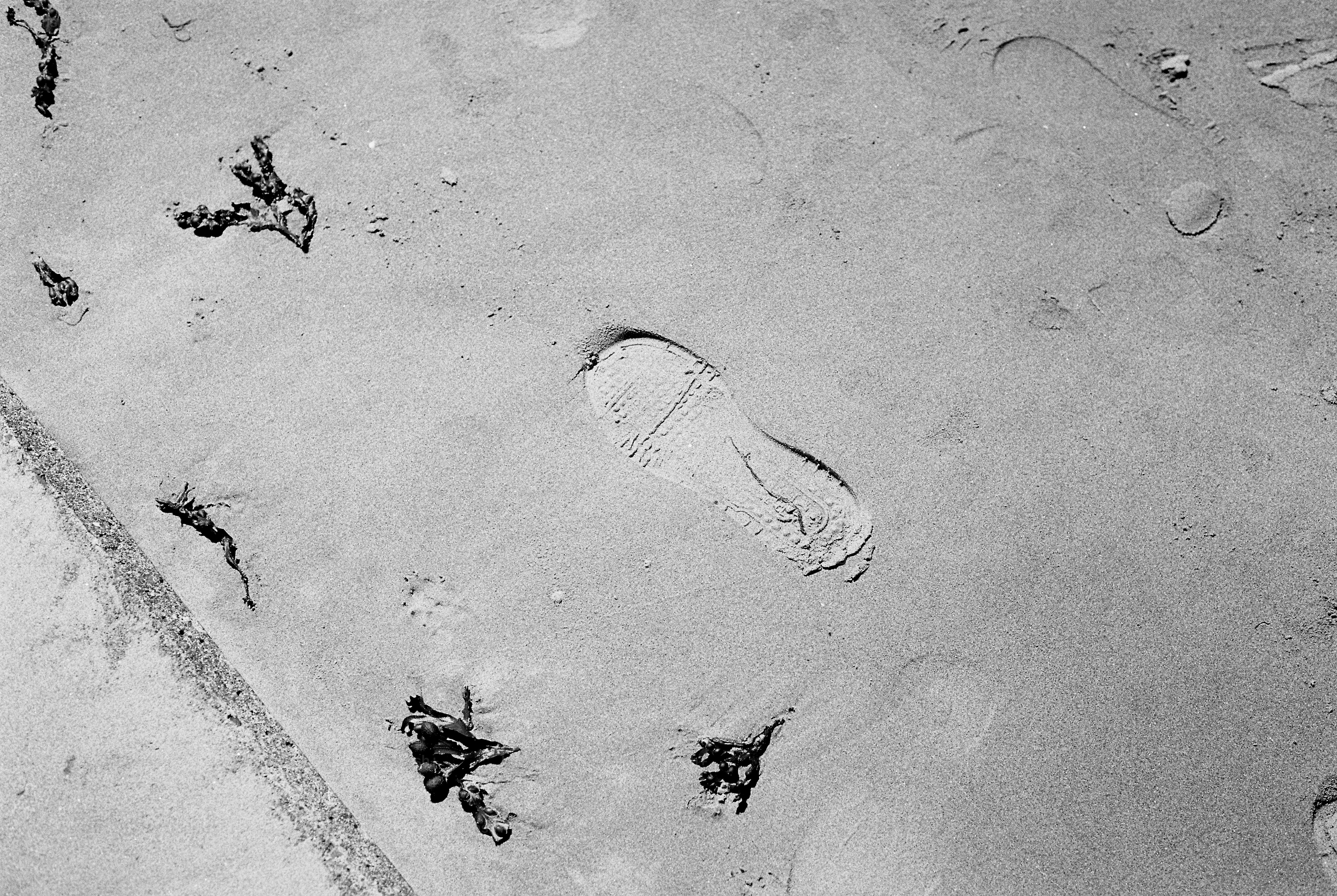 Human and bird footprints in sand