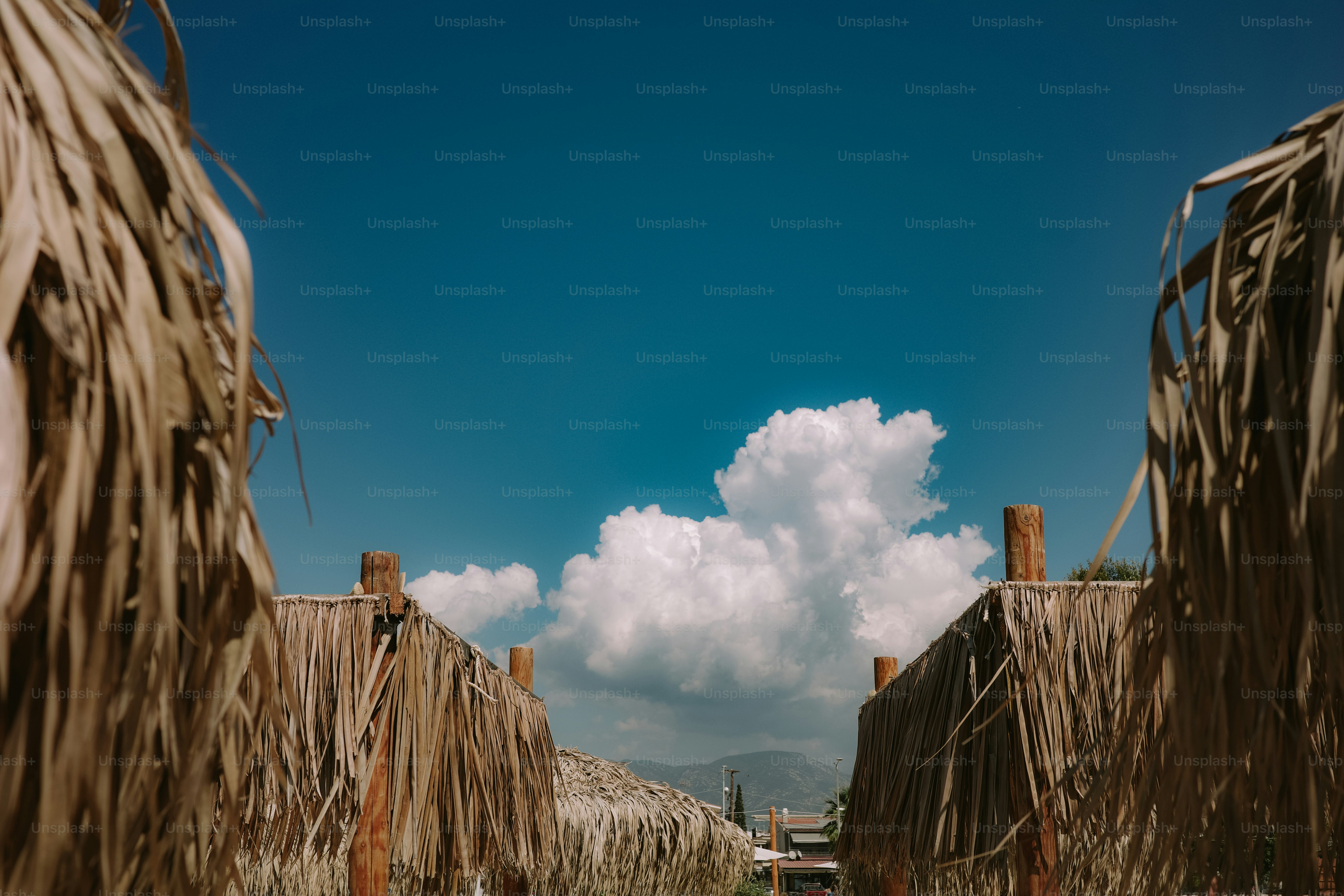 Thatched umbrellas under blue sky and fluffy cloud