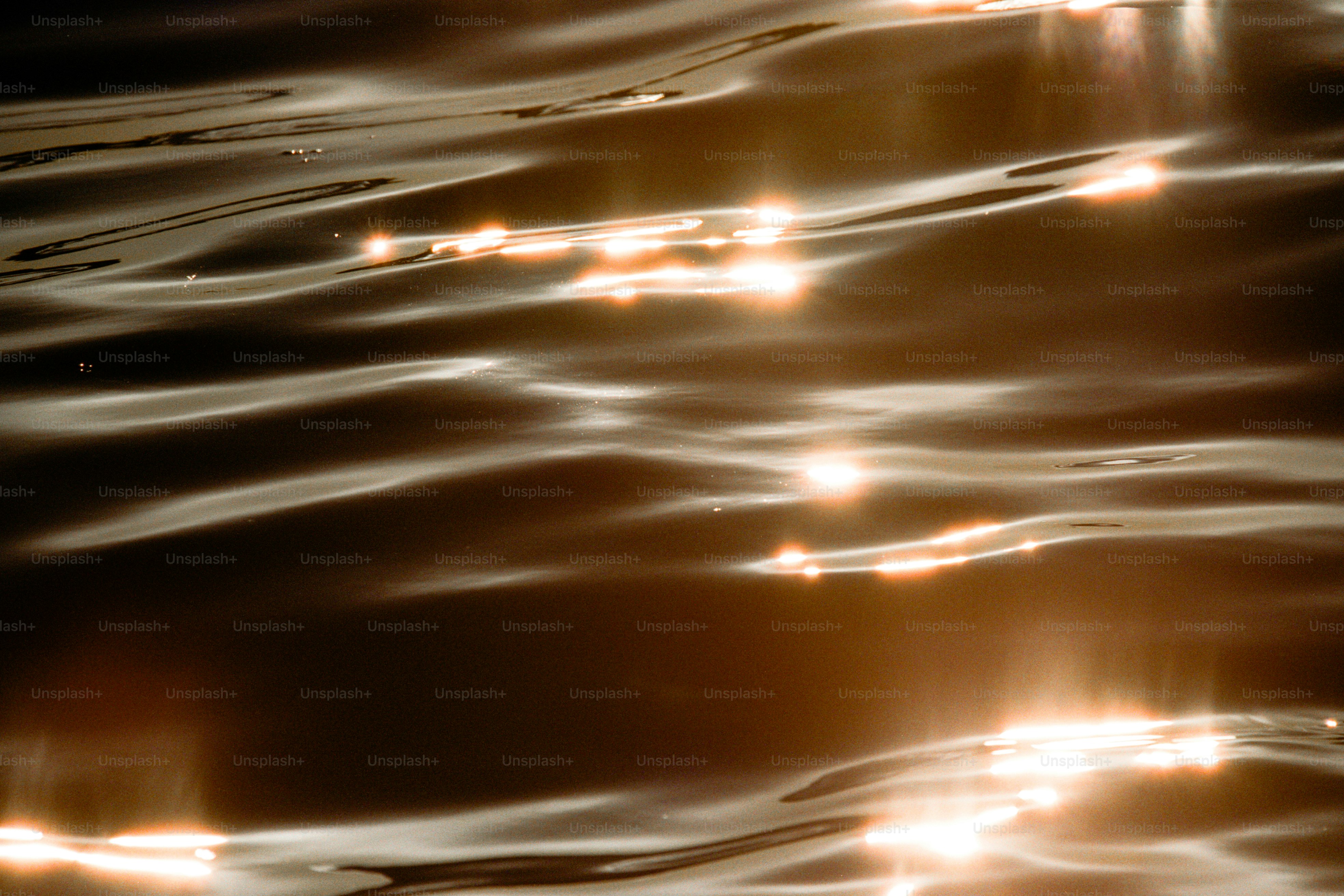 Warm sunlight glinting across dark water ripples