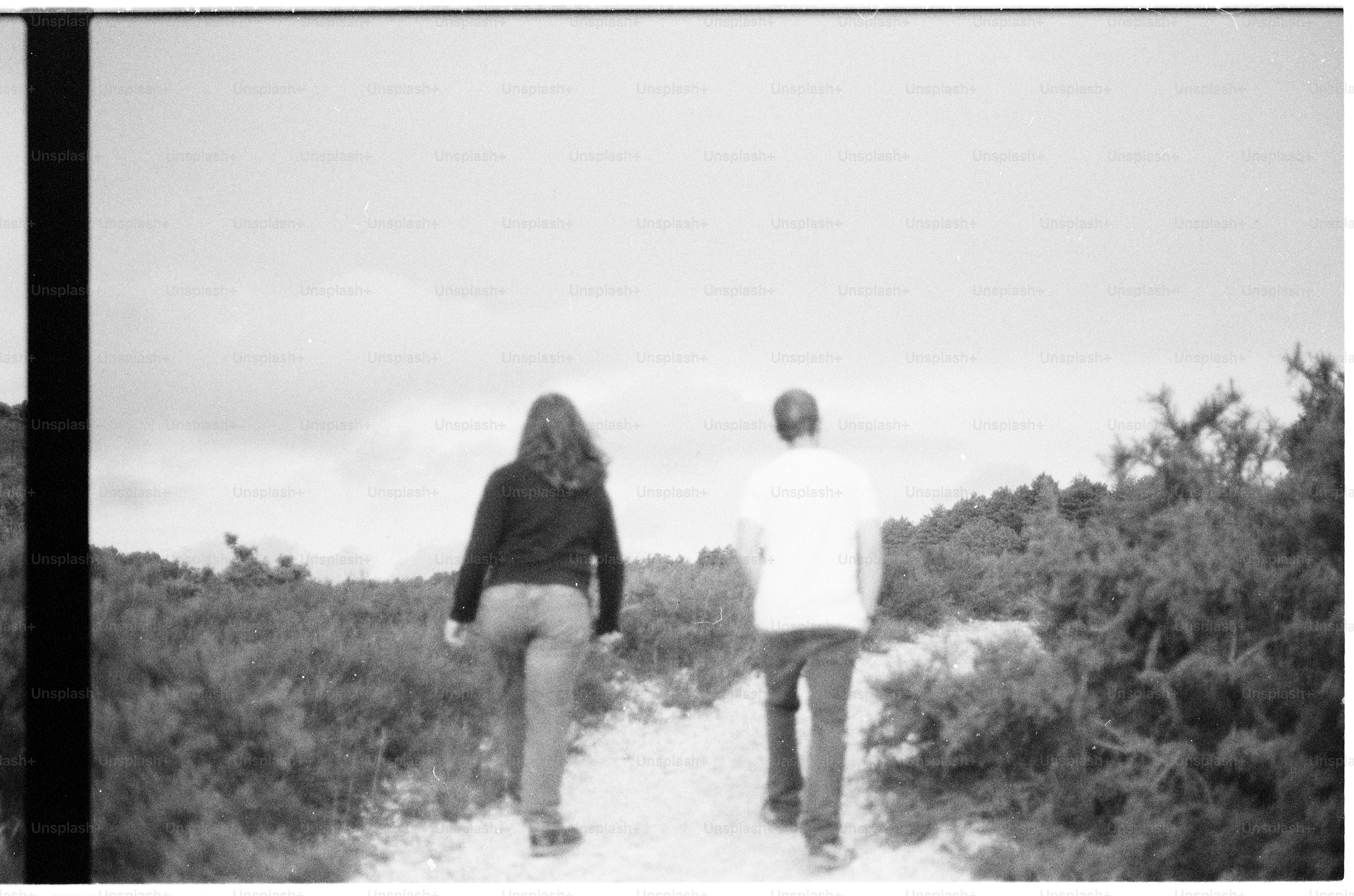 People walking on a path through scrubland