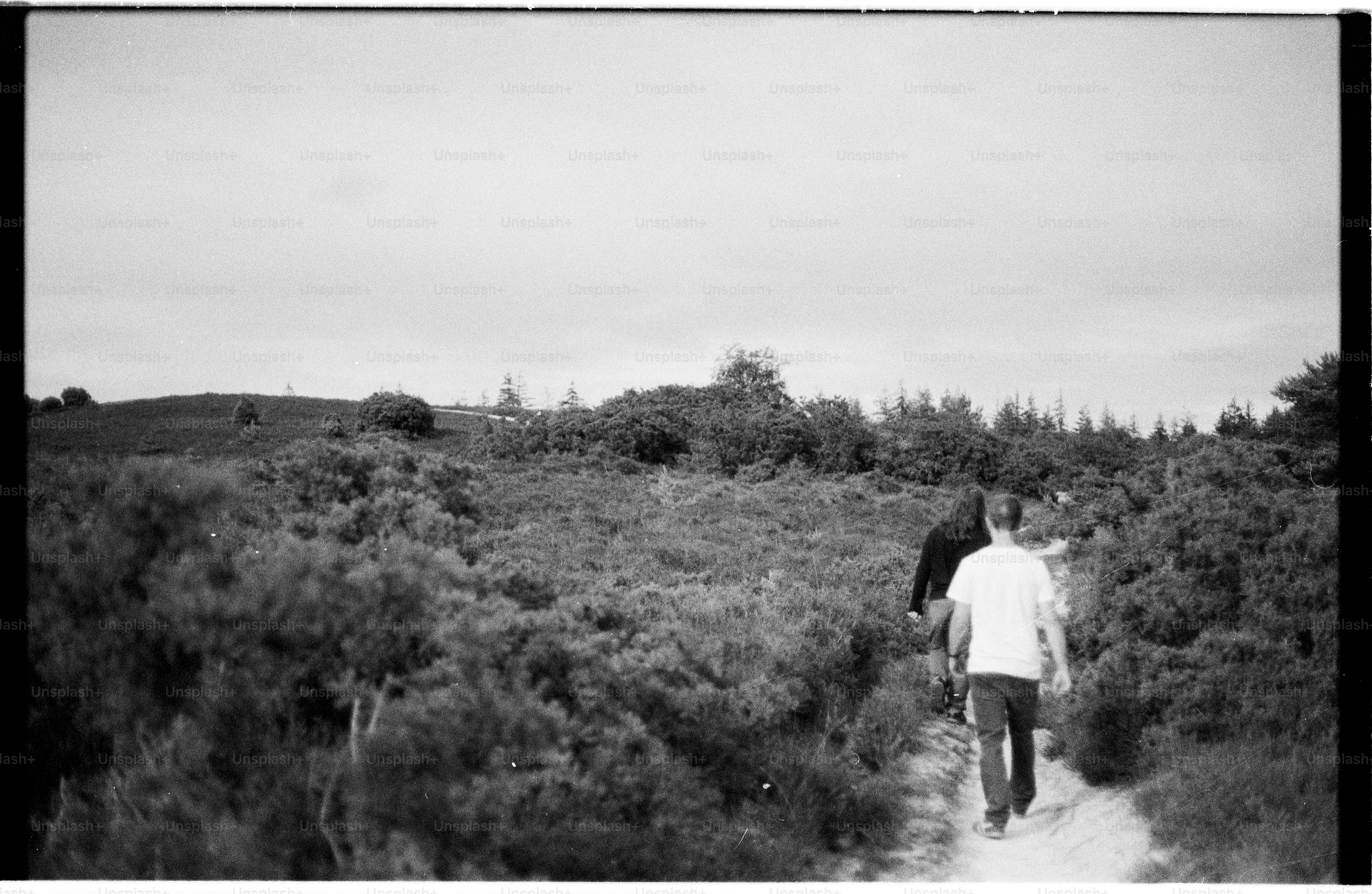 Two people walking on a path through dense bushes