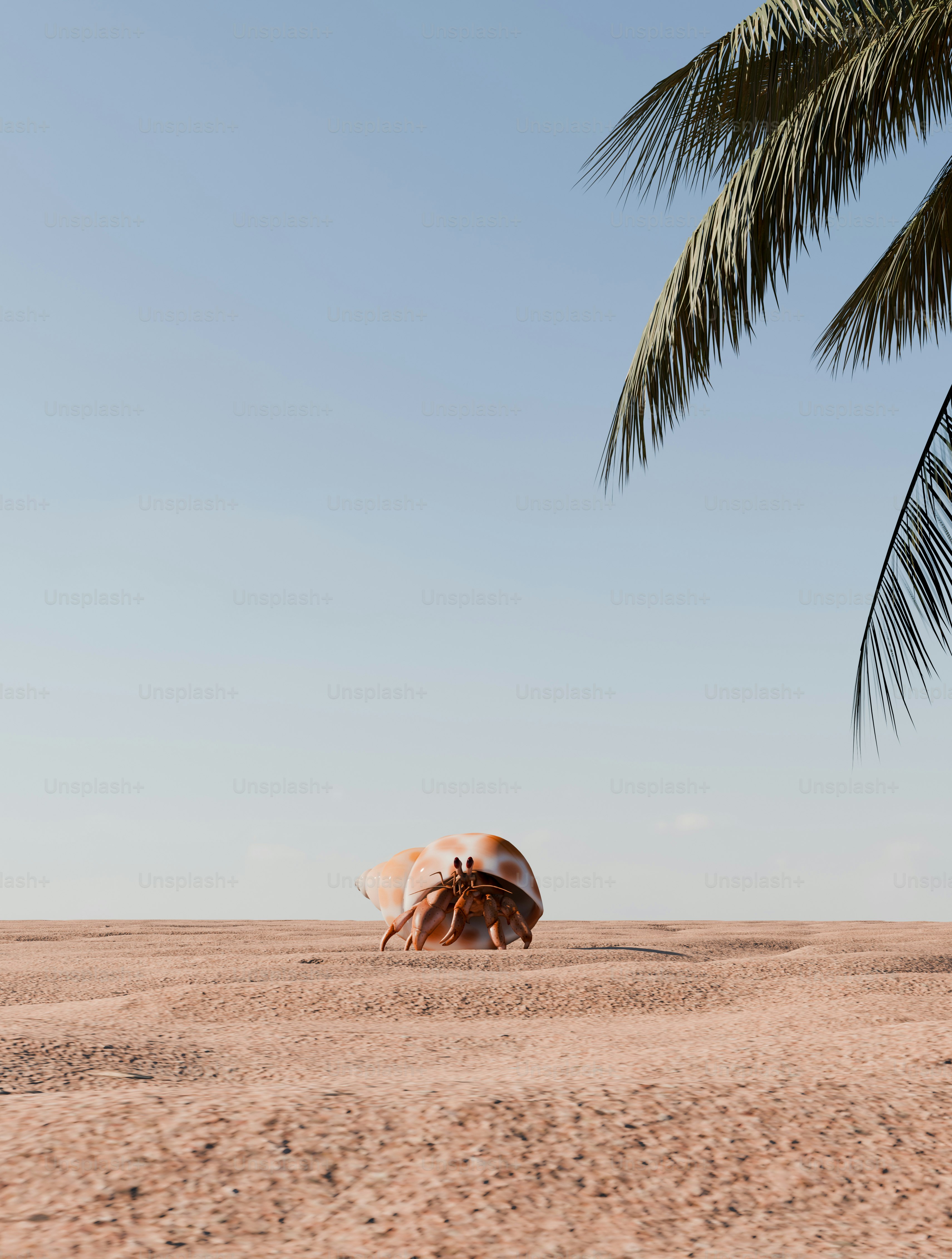 Ermite sur une plage de sable avec feuille de palmier
